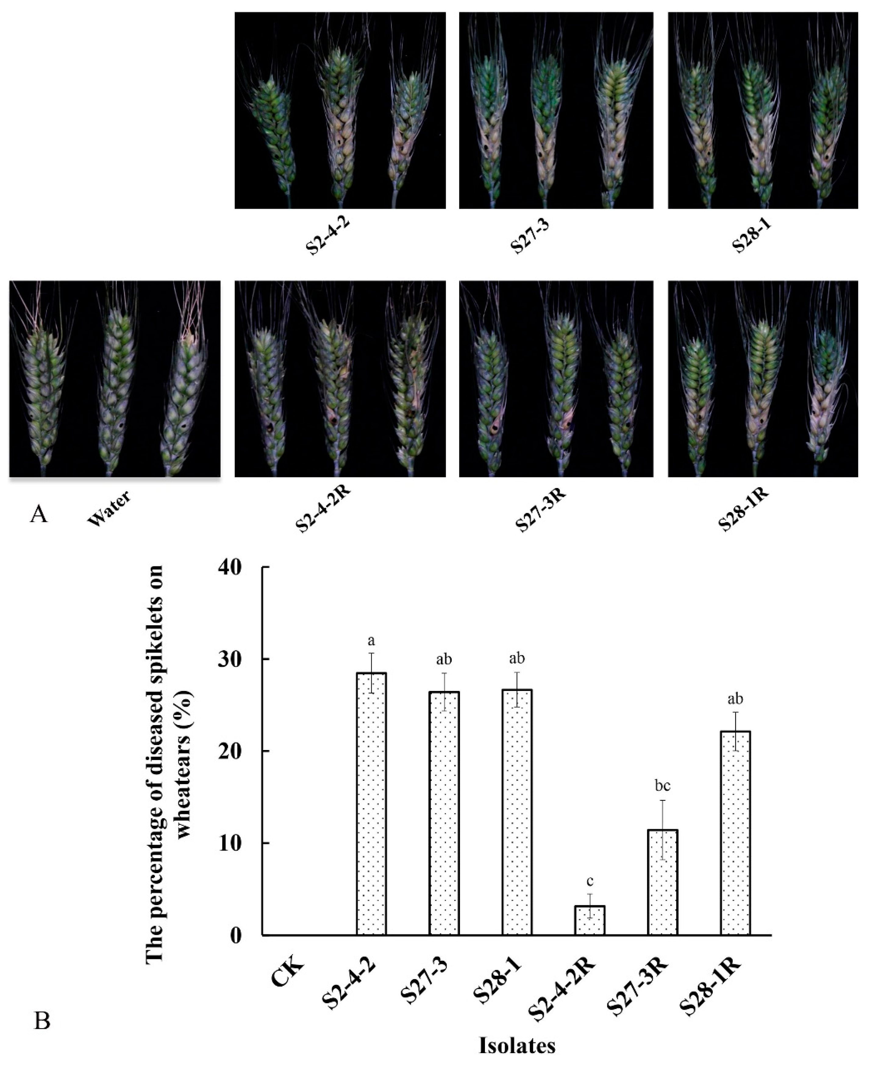 Jof 09 00062 g003 Jof 09 00062 g003
