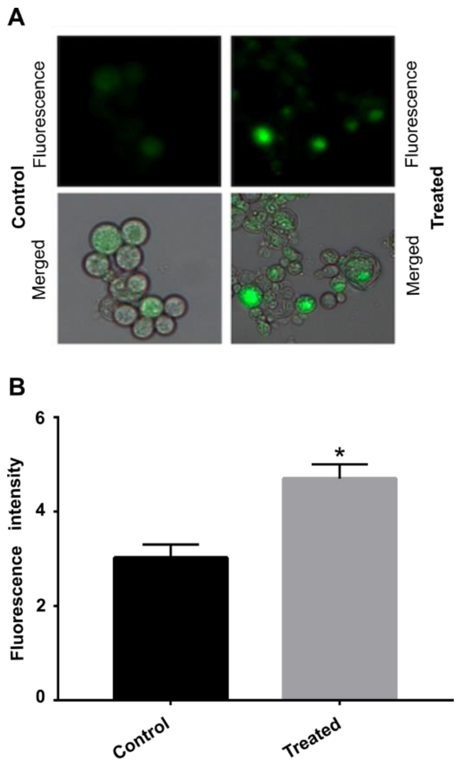 Jof 09 00066 g006 Jof 09 00066 g006