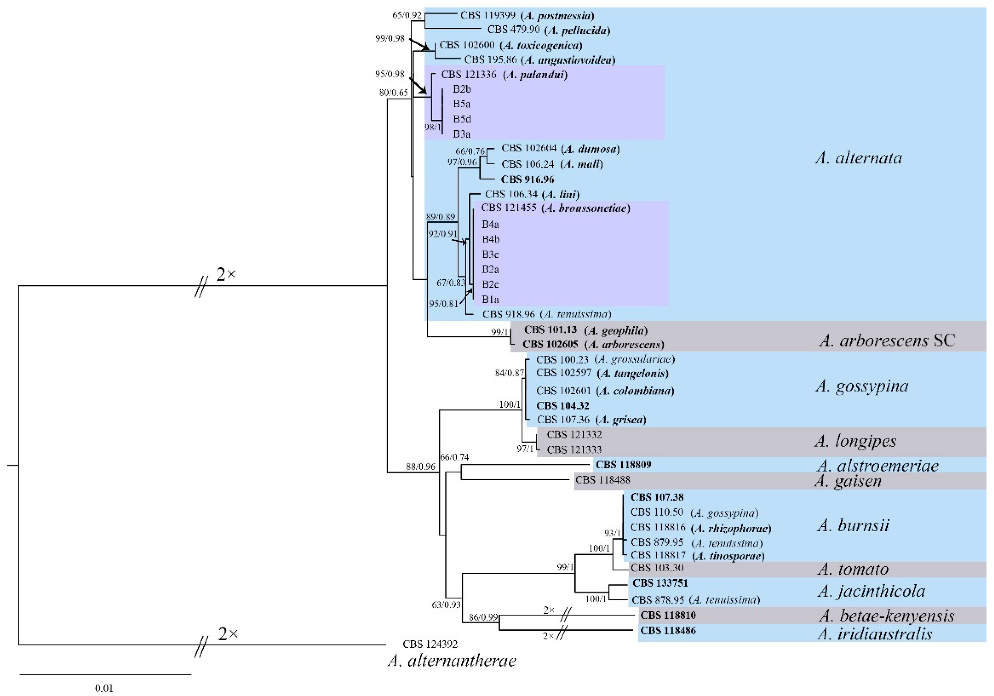 Jof 09 00071 g004 Jof 09 00071 g004