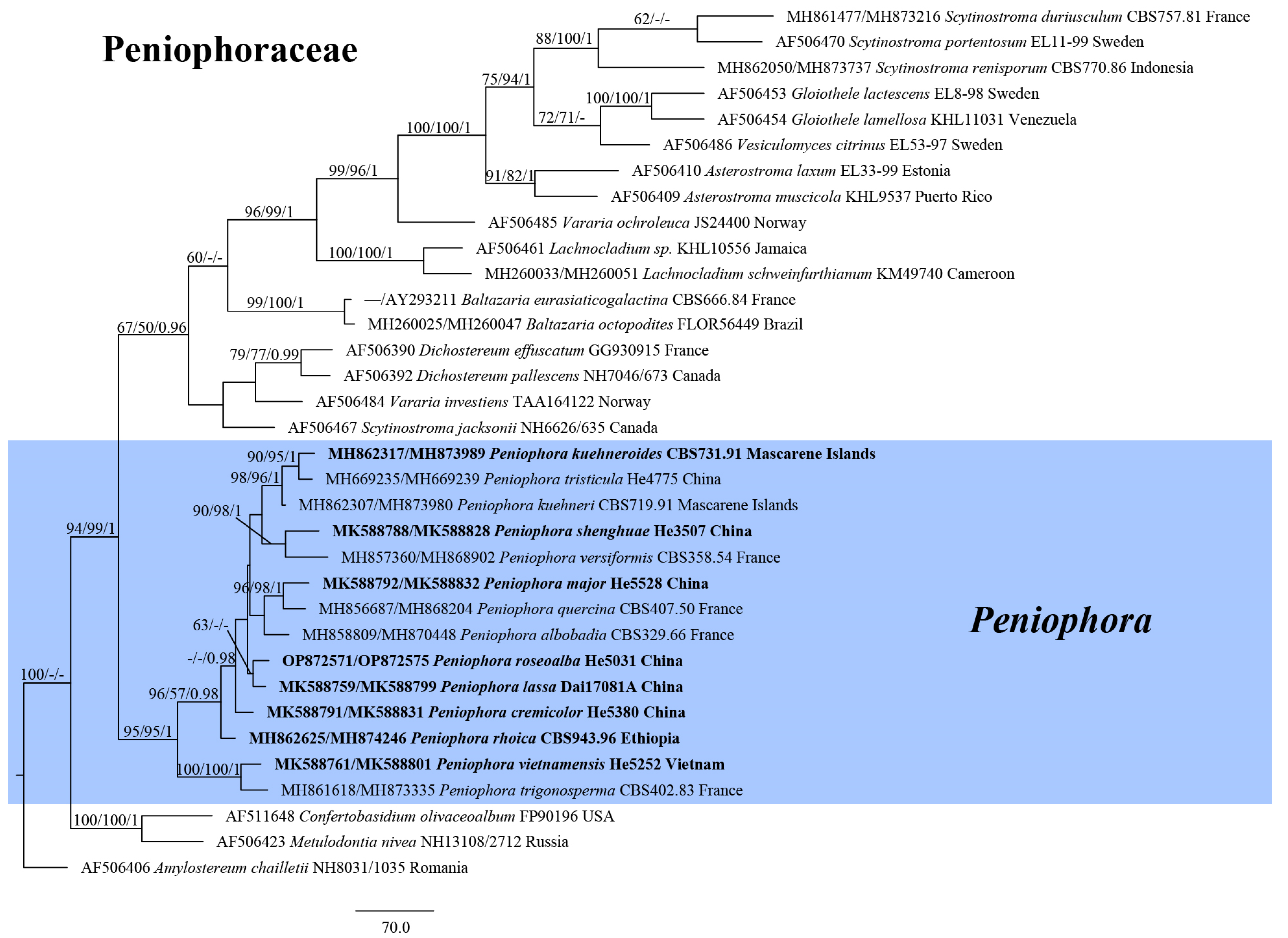 Jof 09 00093 g001 Jof 09 00093 g001