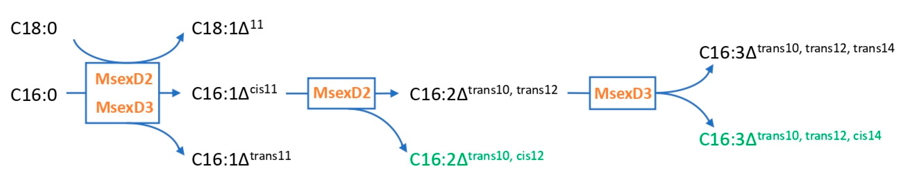 Jof 09 00114 g008 Jof 09 00114 g008