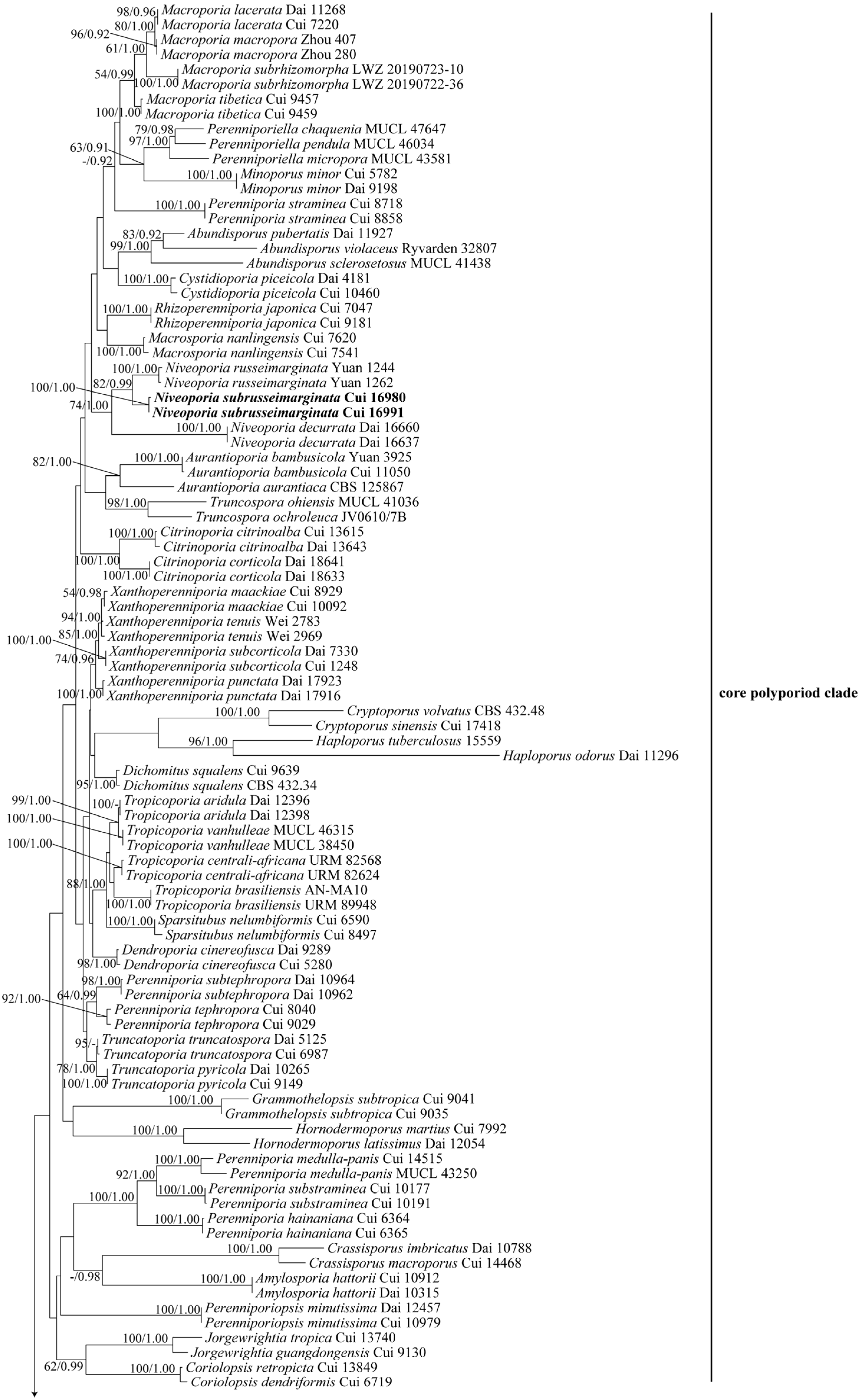 Jof 09 00173 g001a Jof 09 00173 g001a