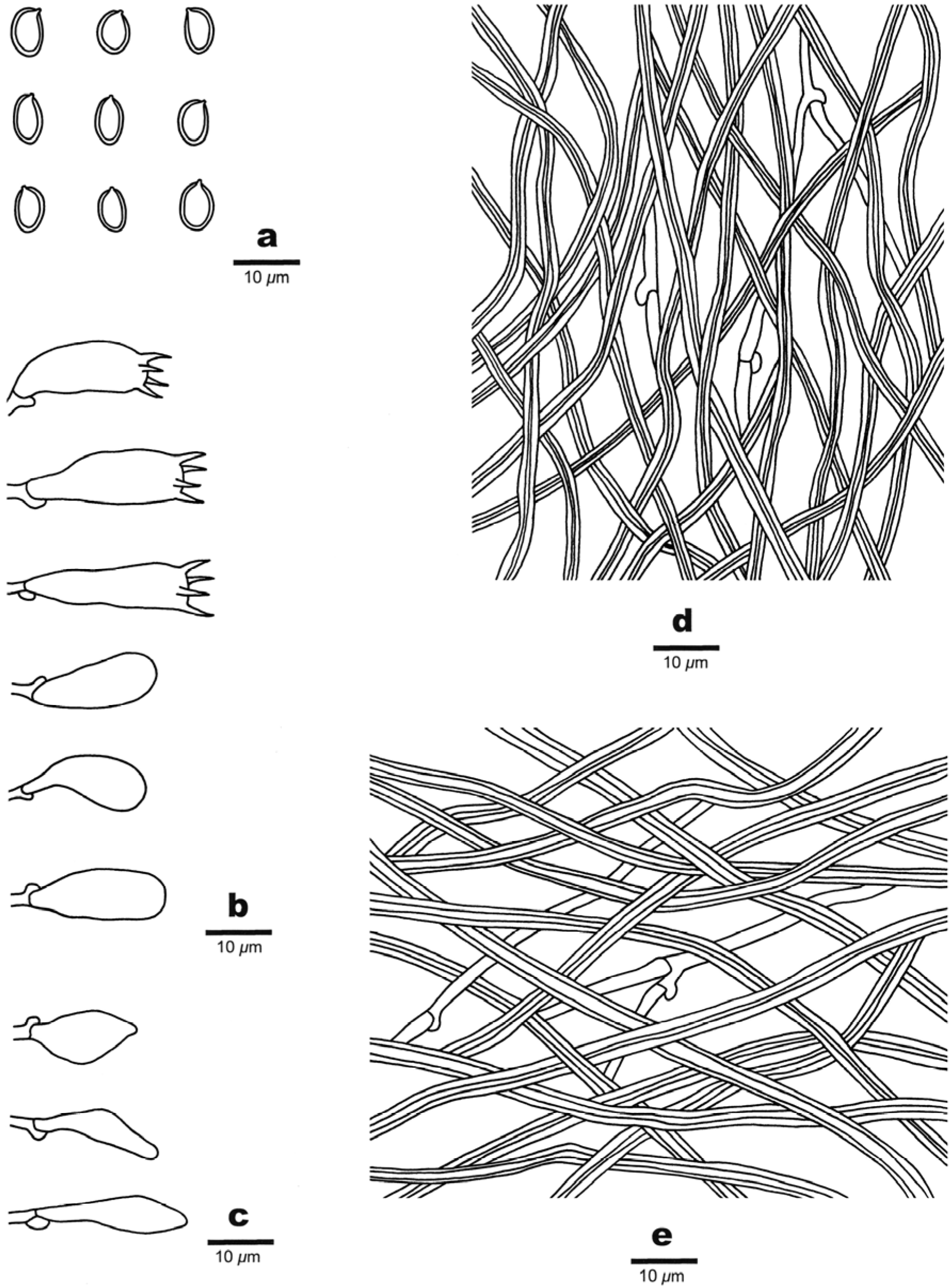 Jof 09 00173 g004 Jof 09 00173 g004