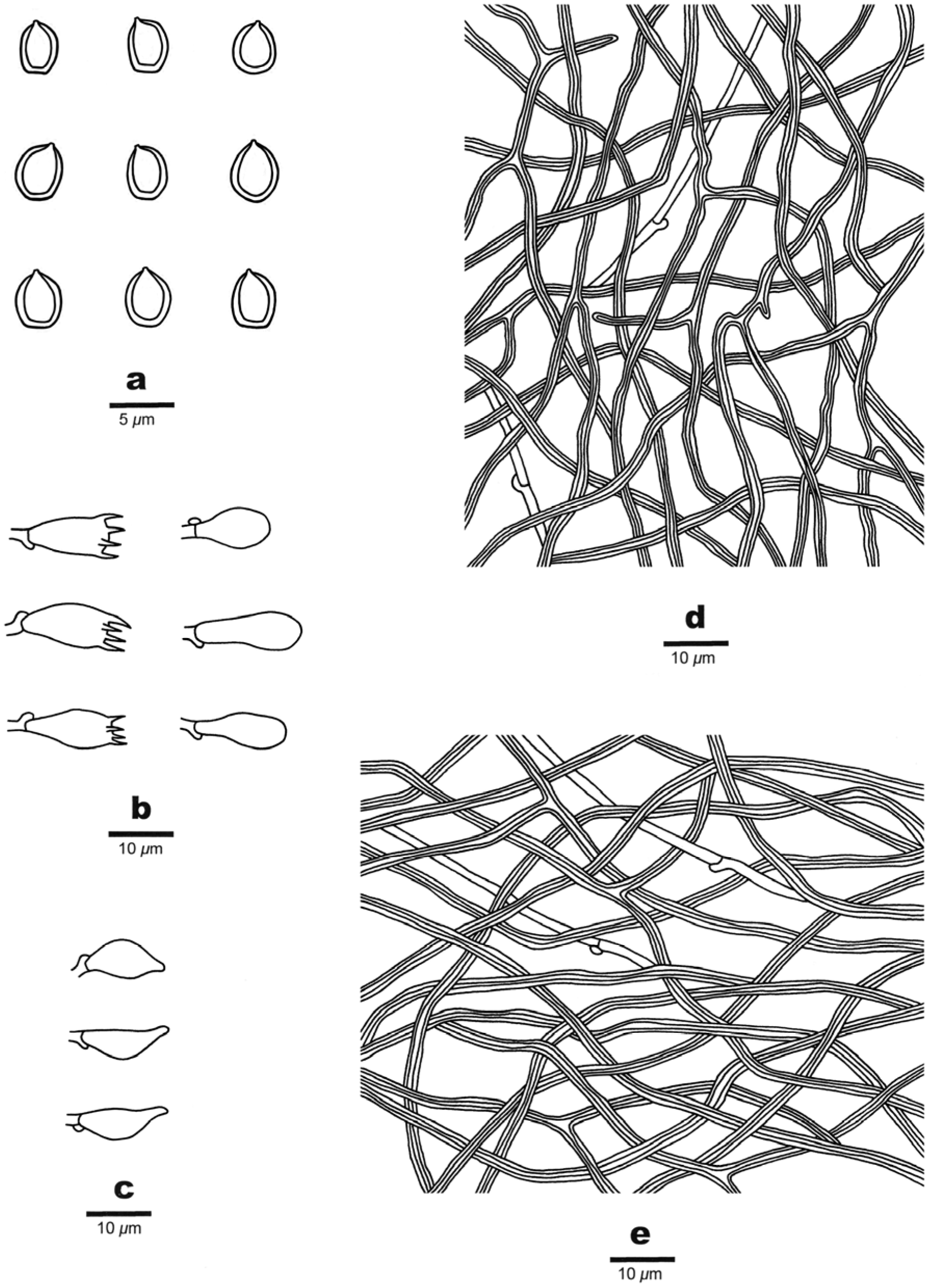 Jof 09 00173 g006 Jof 09 00173 g006