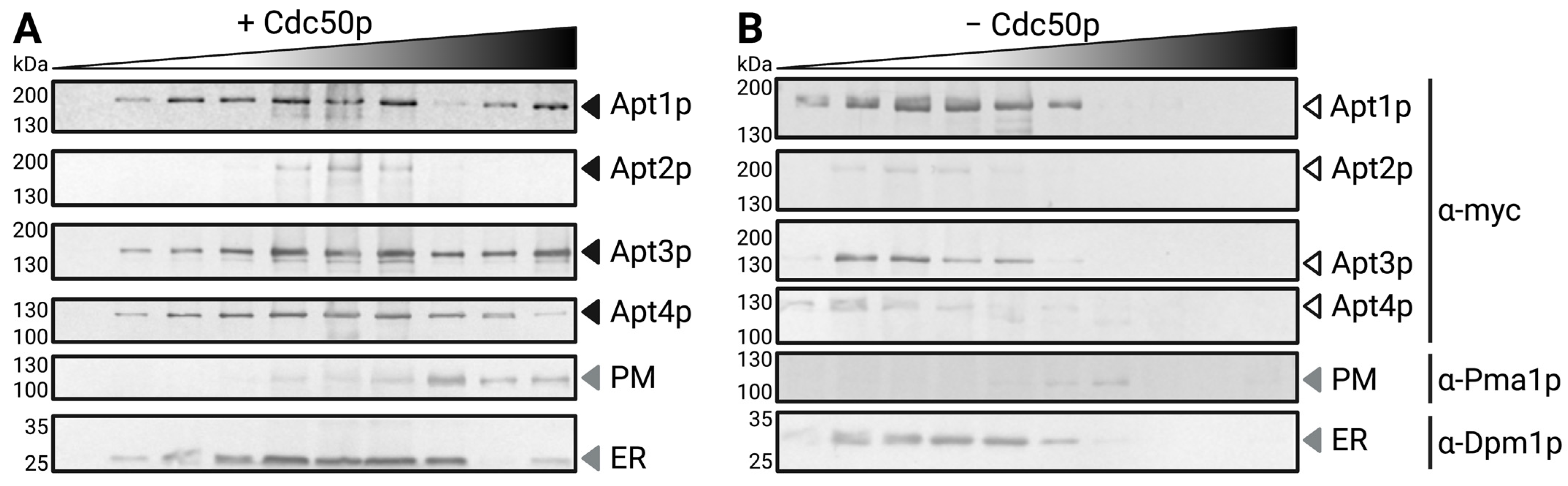 Jof 09 00202 g002 Jof 09 00202 g002