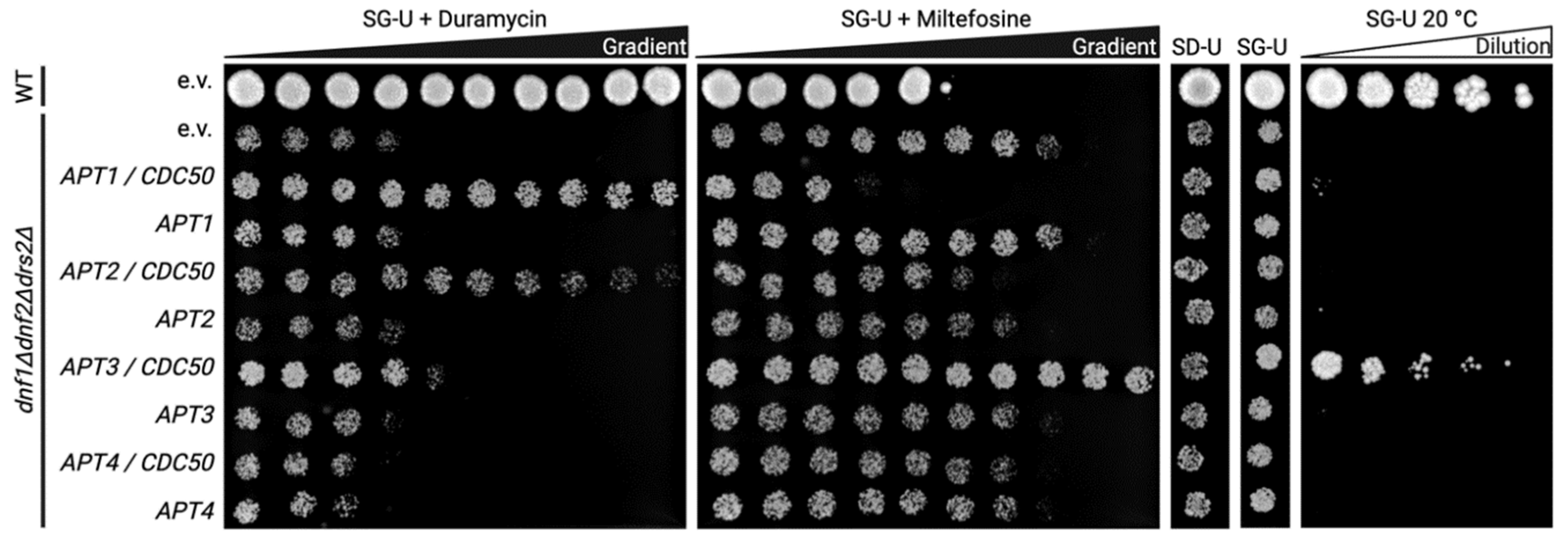 Jof 09 00202 g004 Jof 09 00202 g004