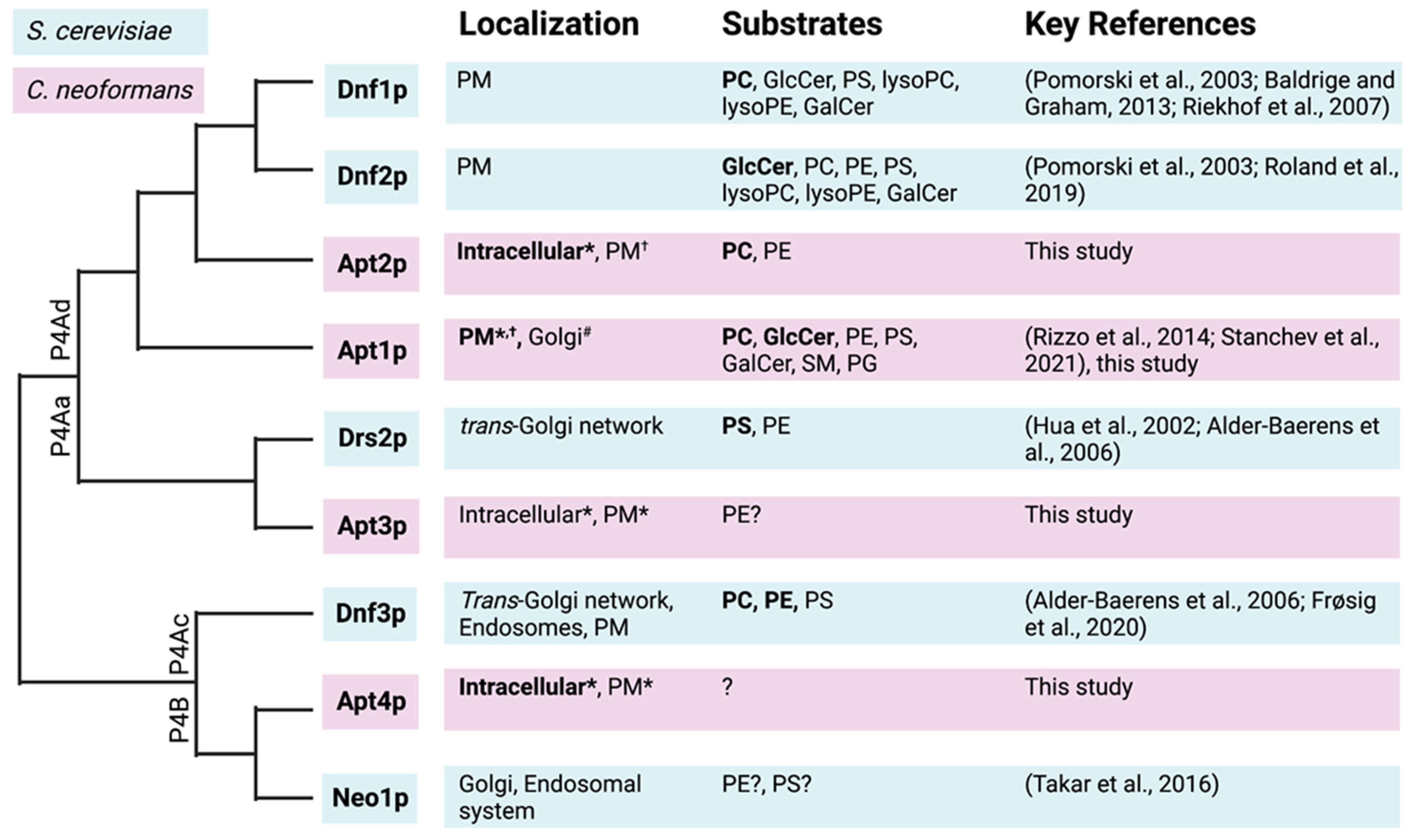 Jof 09 00202 g007 Jof 09 00202 g007
