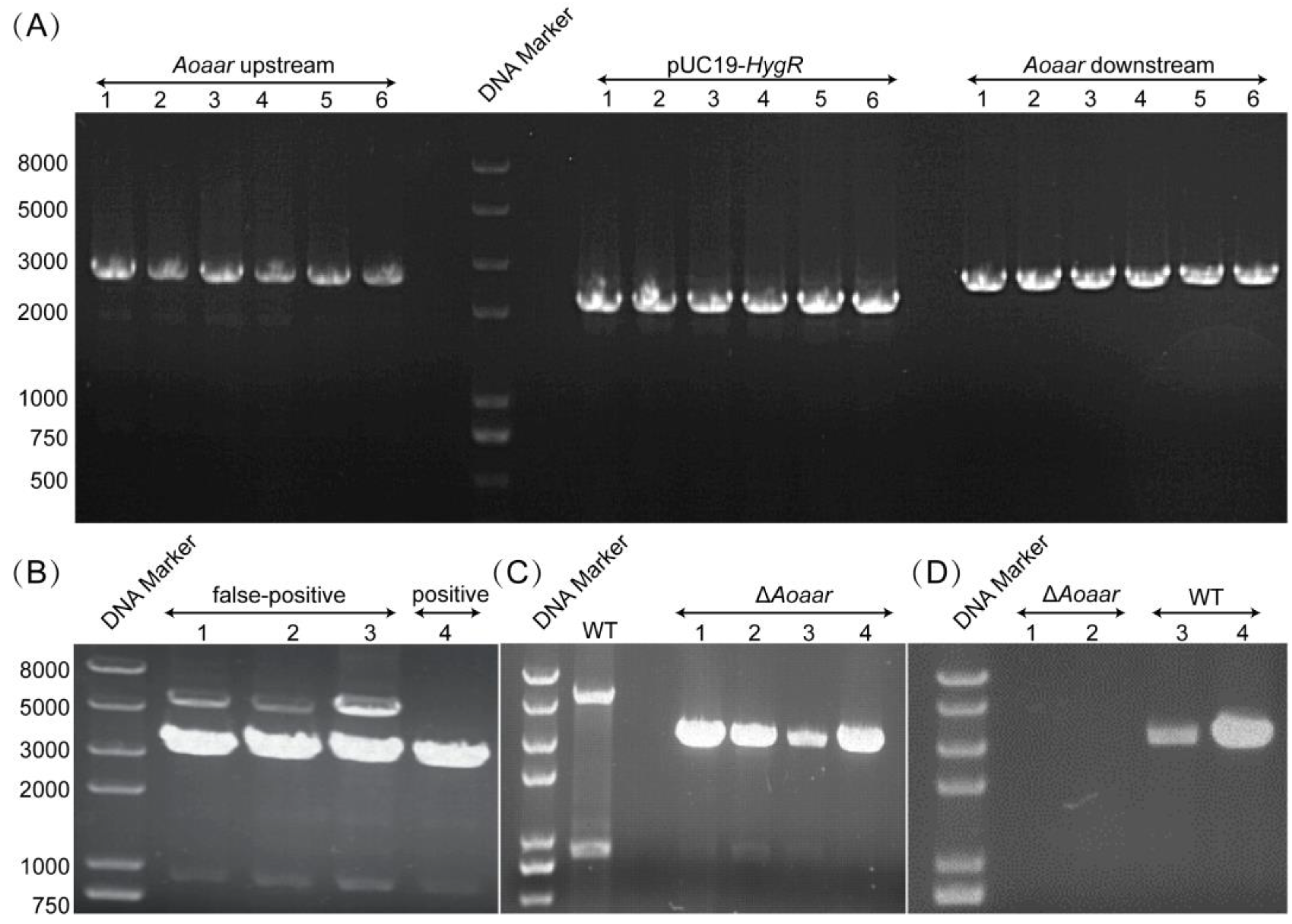 Jof 09 00206 g002 Jof 09 00206 g002