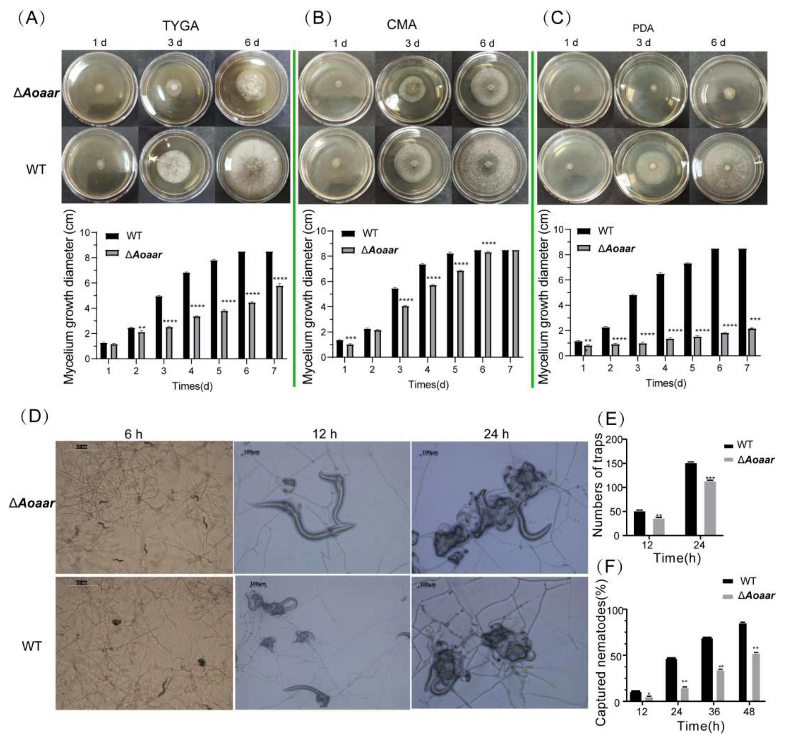 Jof 09 00206 g003 Jof 09 00206 g003