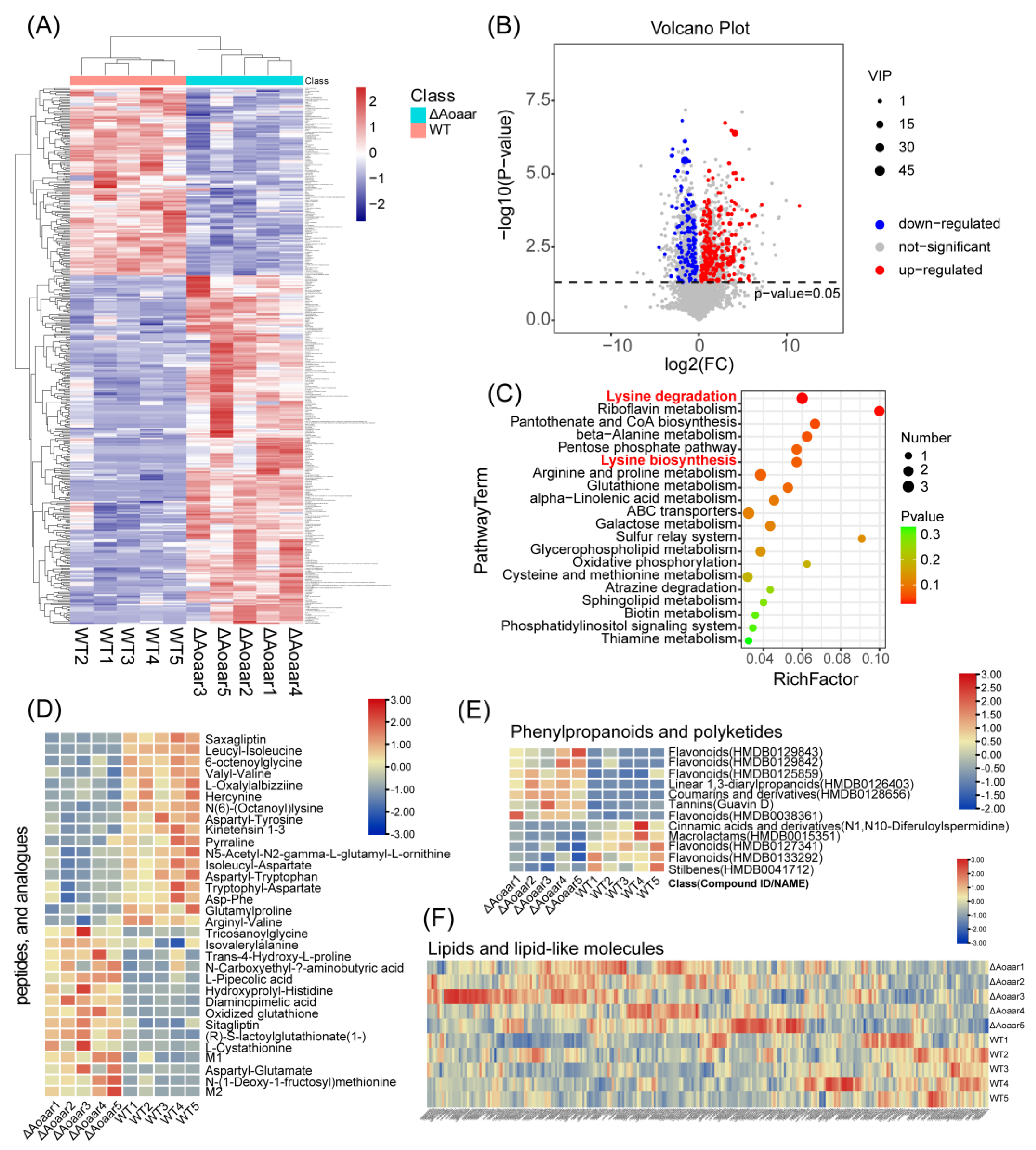 Jof 09 00206 g005 Jof 09 00206 g005
