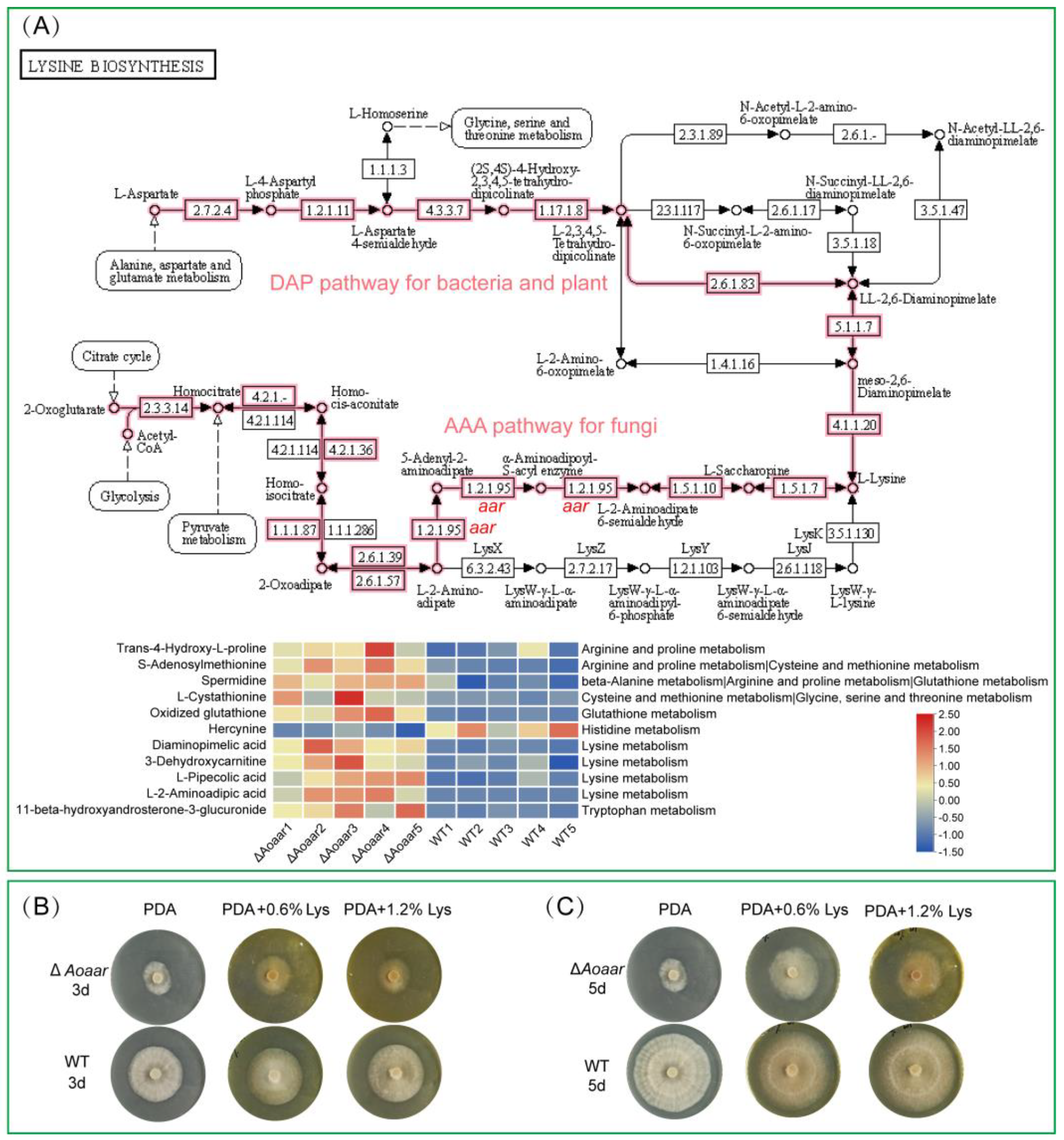 Jof 09 00206 g006 Jof 09 00206 g006