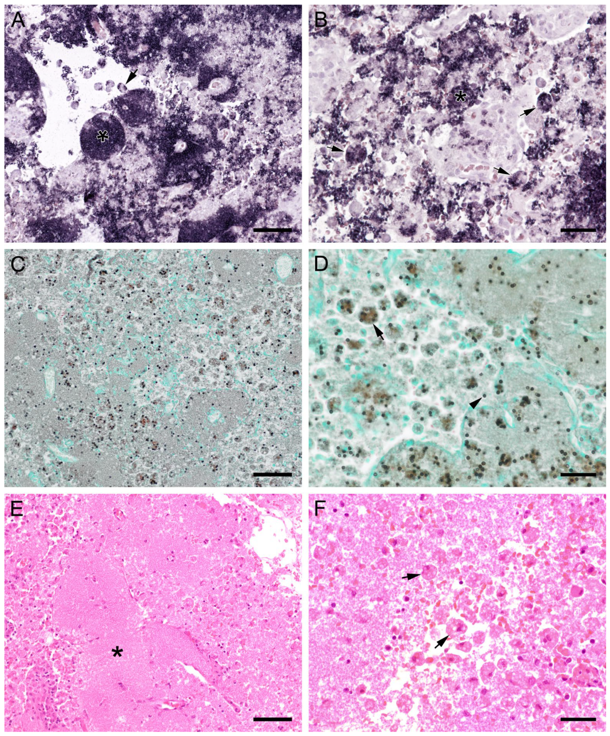 Jof 09 00220 g010 Jof 09 00220 g010