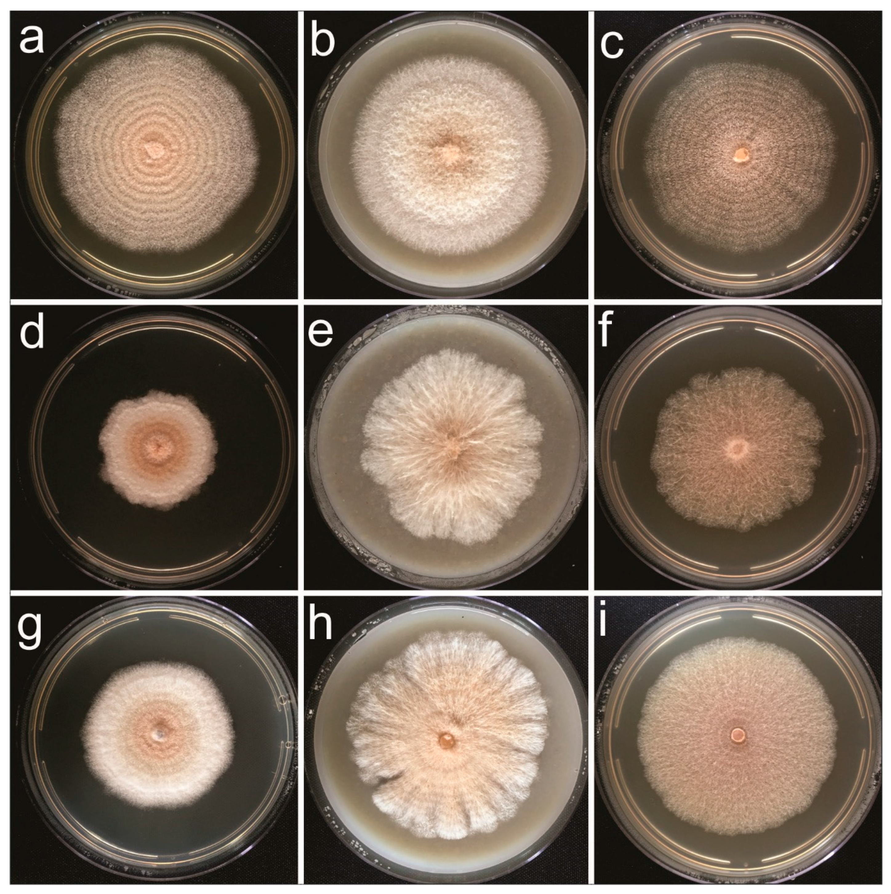 Jof 09 00248 g003 Jof 09 00248 g003
