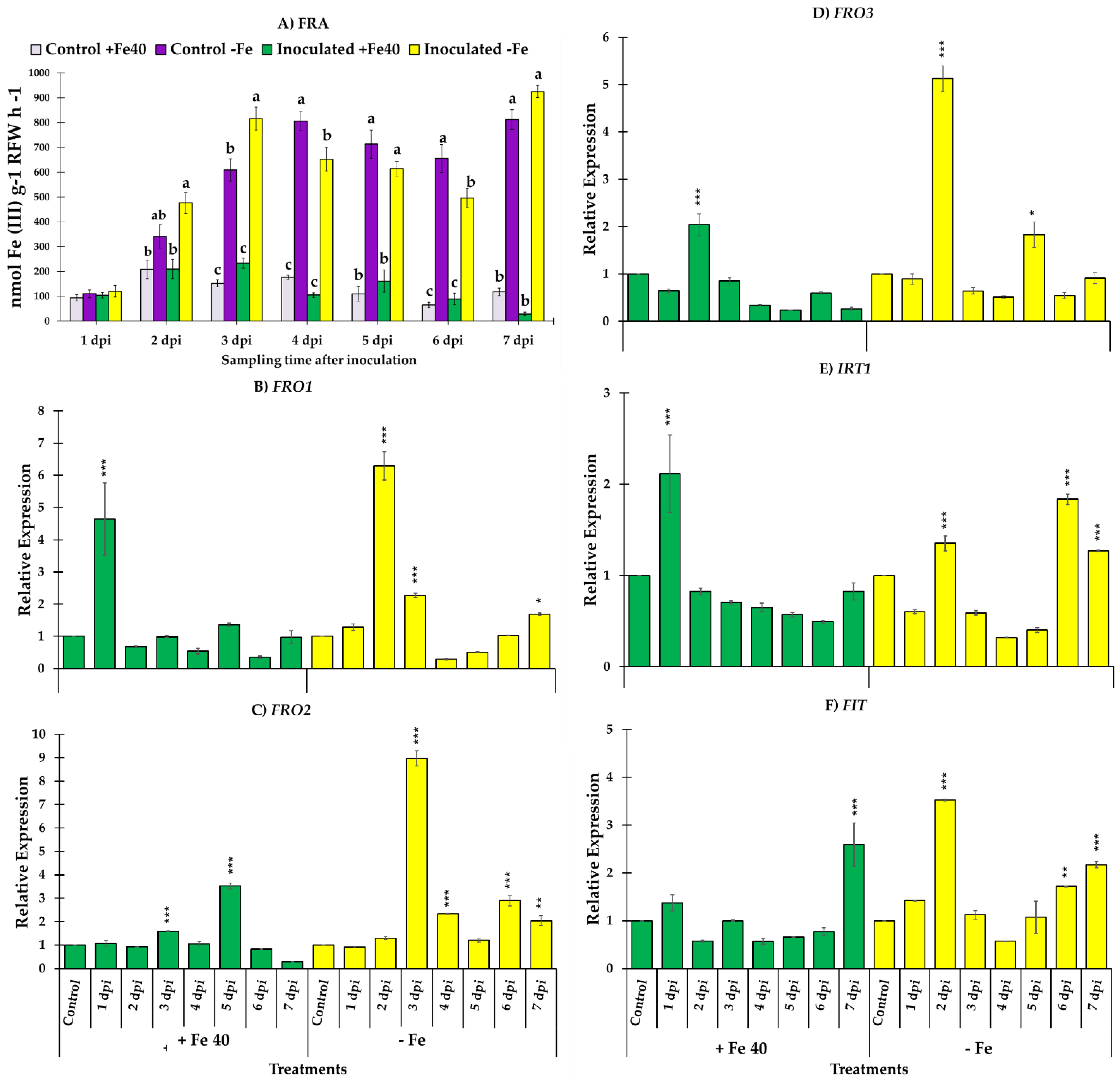 Jof 09 00258 g004 Jof 09 00258 g004