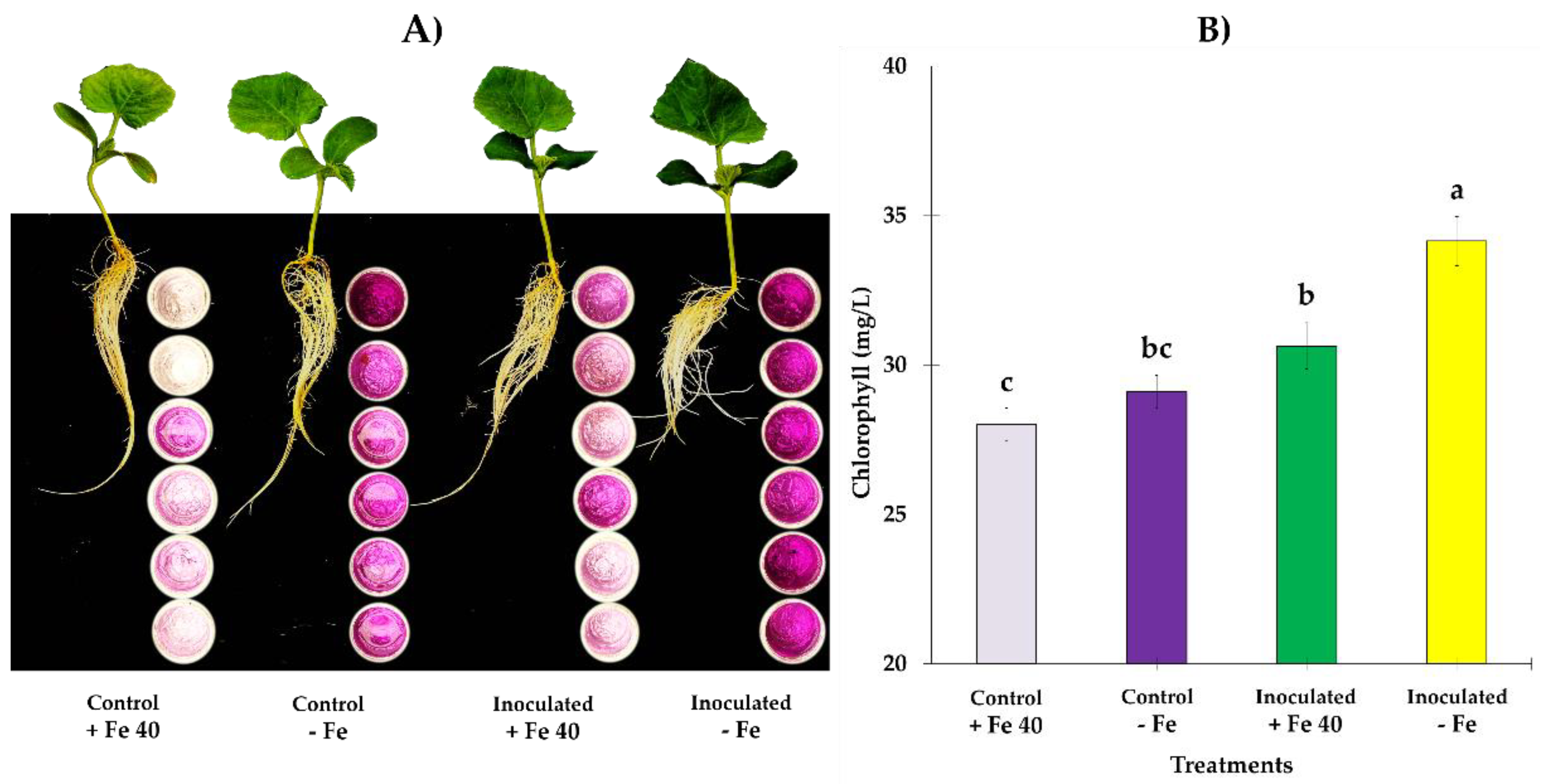 Jof 09 00258 g007 Jof 09 00258 g007