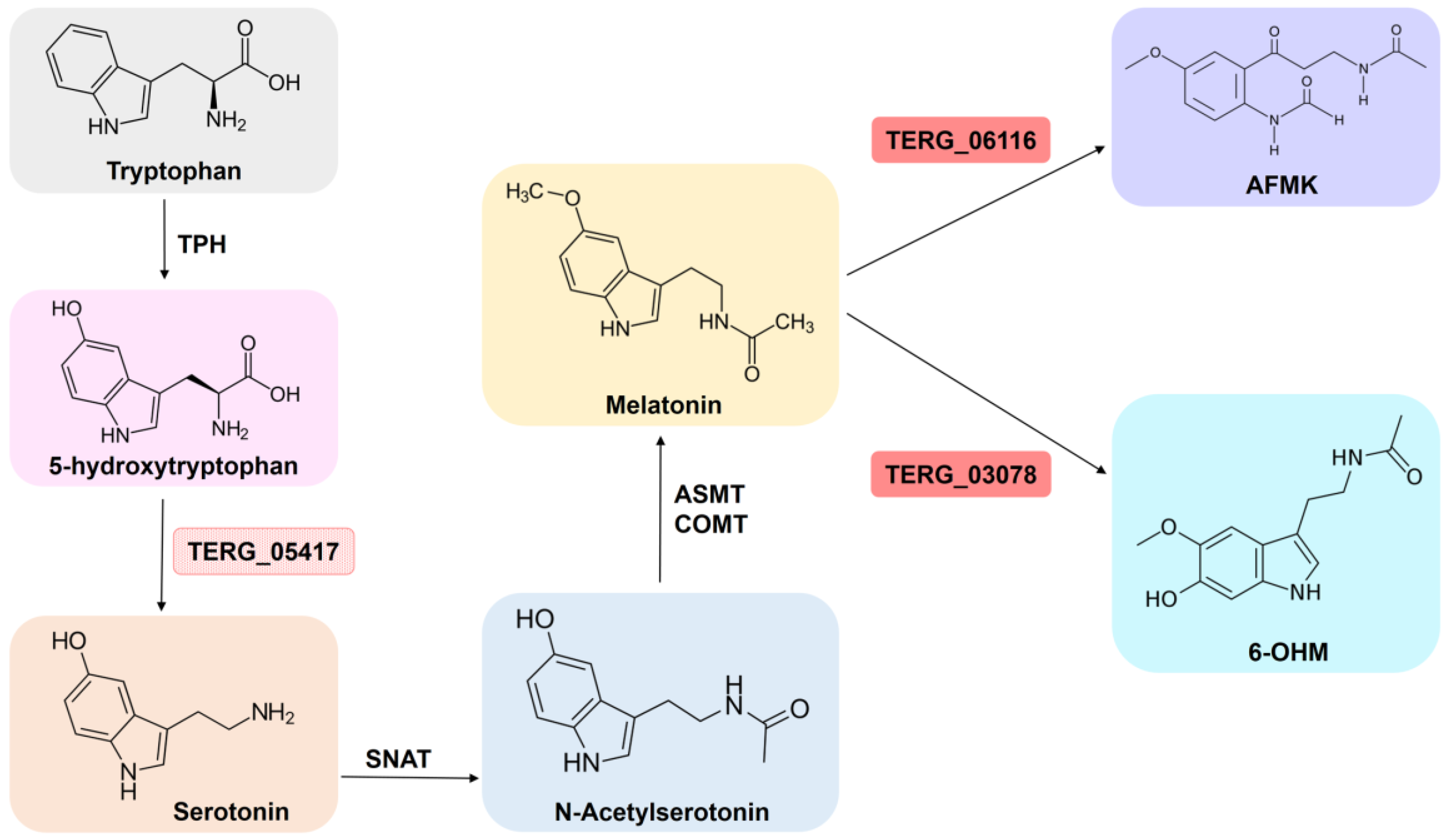 Jof 09 00275 g005 Jof 09 00275 g005