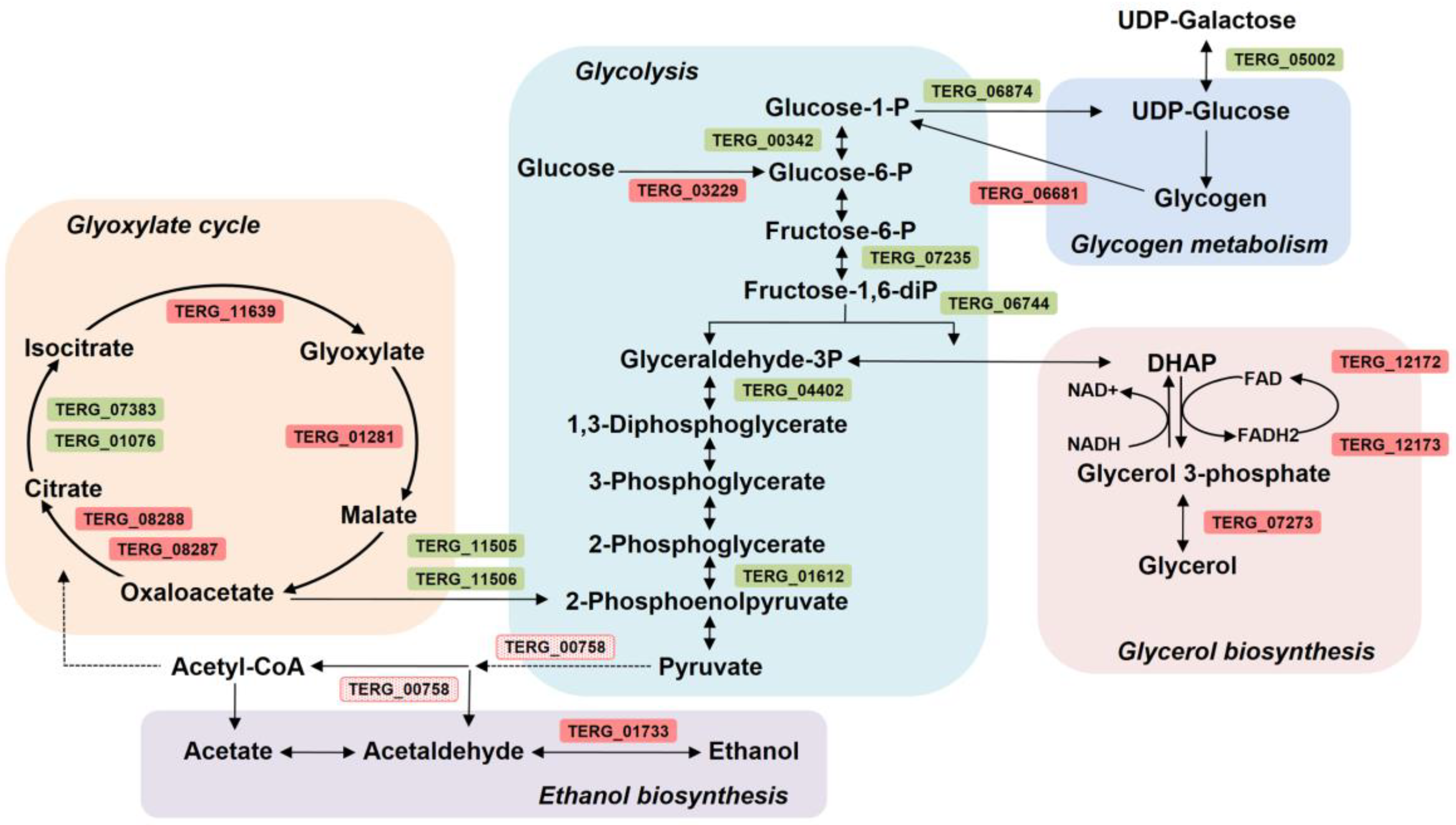 Jof 09 00275 g006 Jof 09 00275 g006