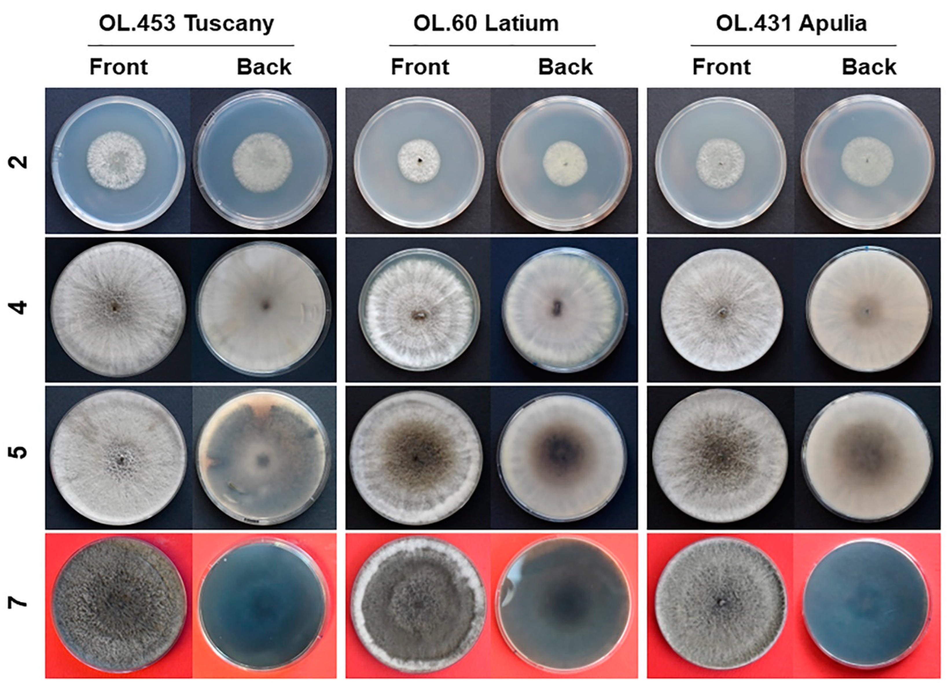 Jof 09 00292 g001 Jof 09 00292 g001