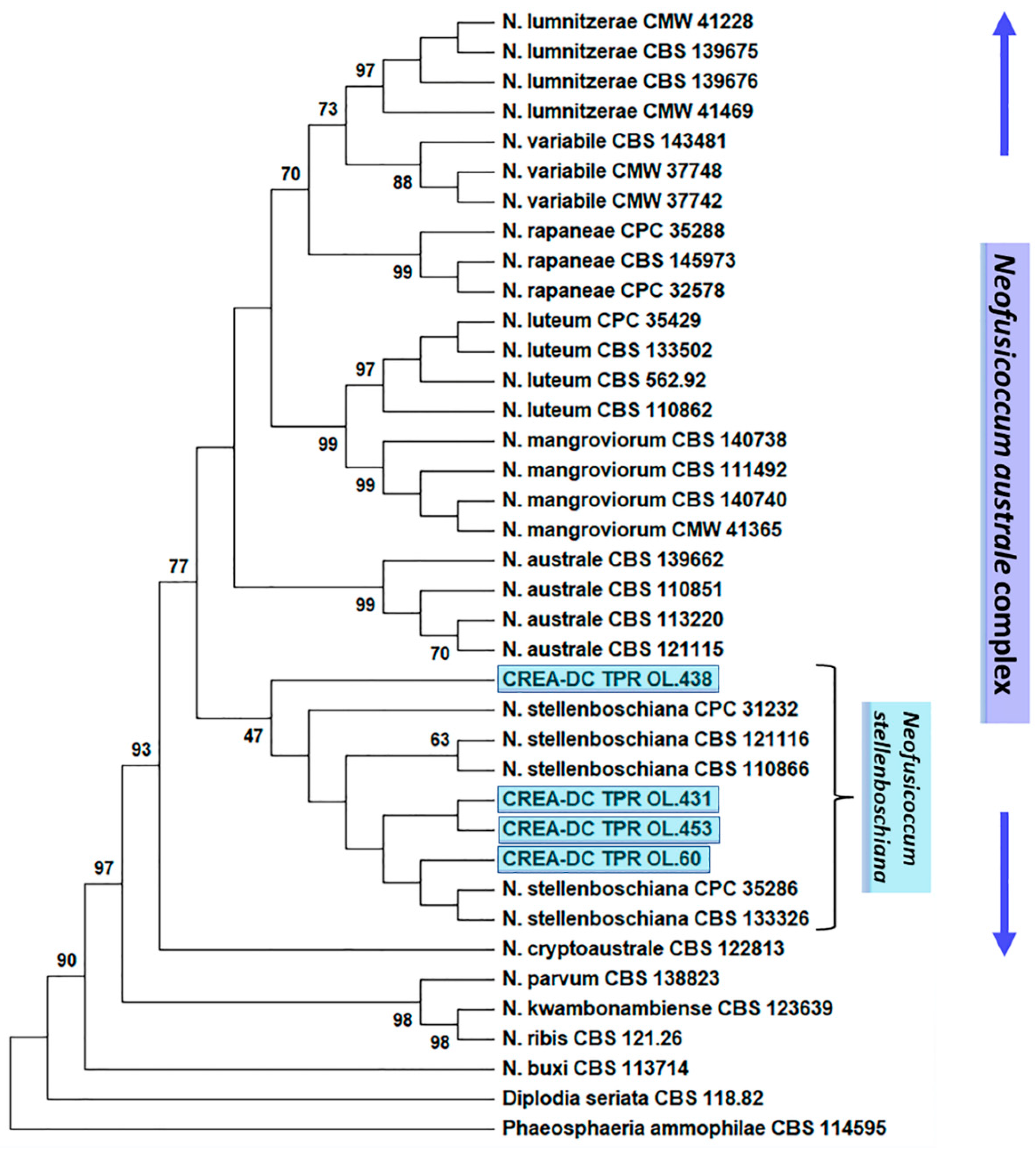 Jof 09 00292 g006 Jof 09 00292 g006