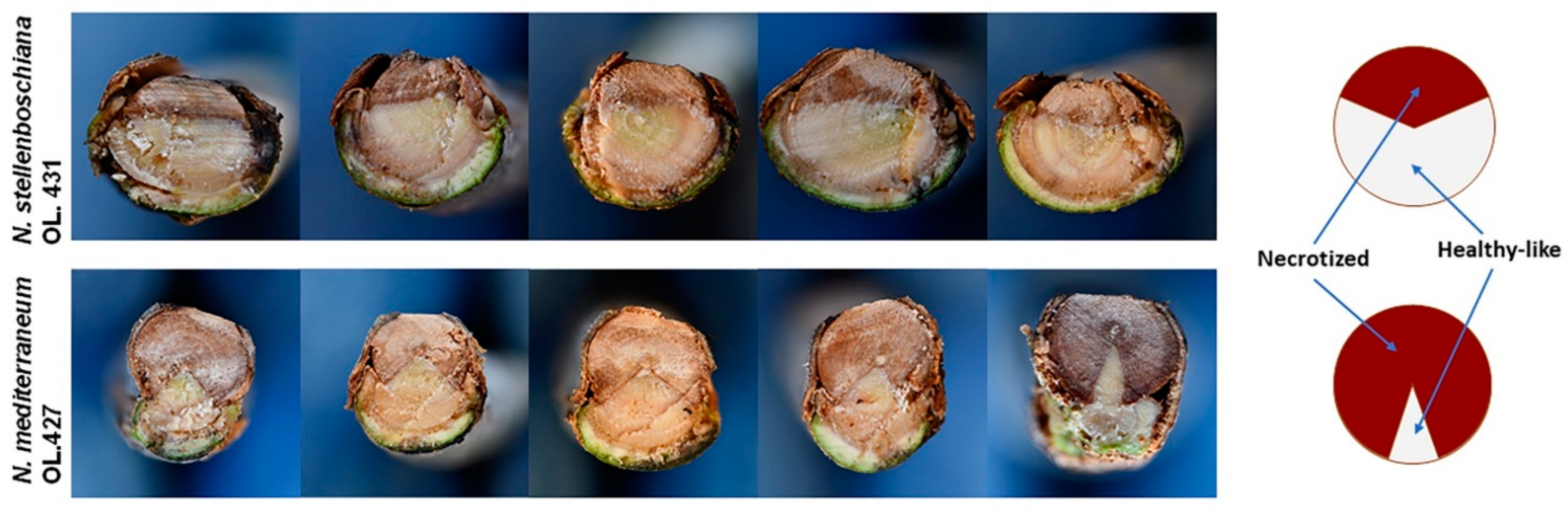 Jof 09 00292 g012 Jof 09 00292 g012