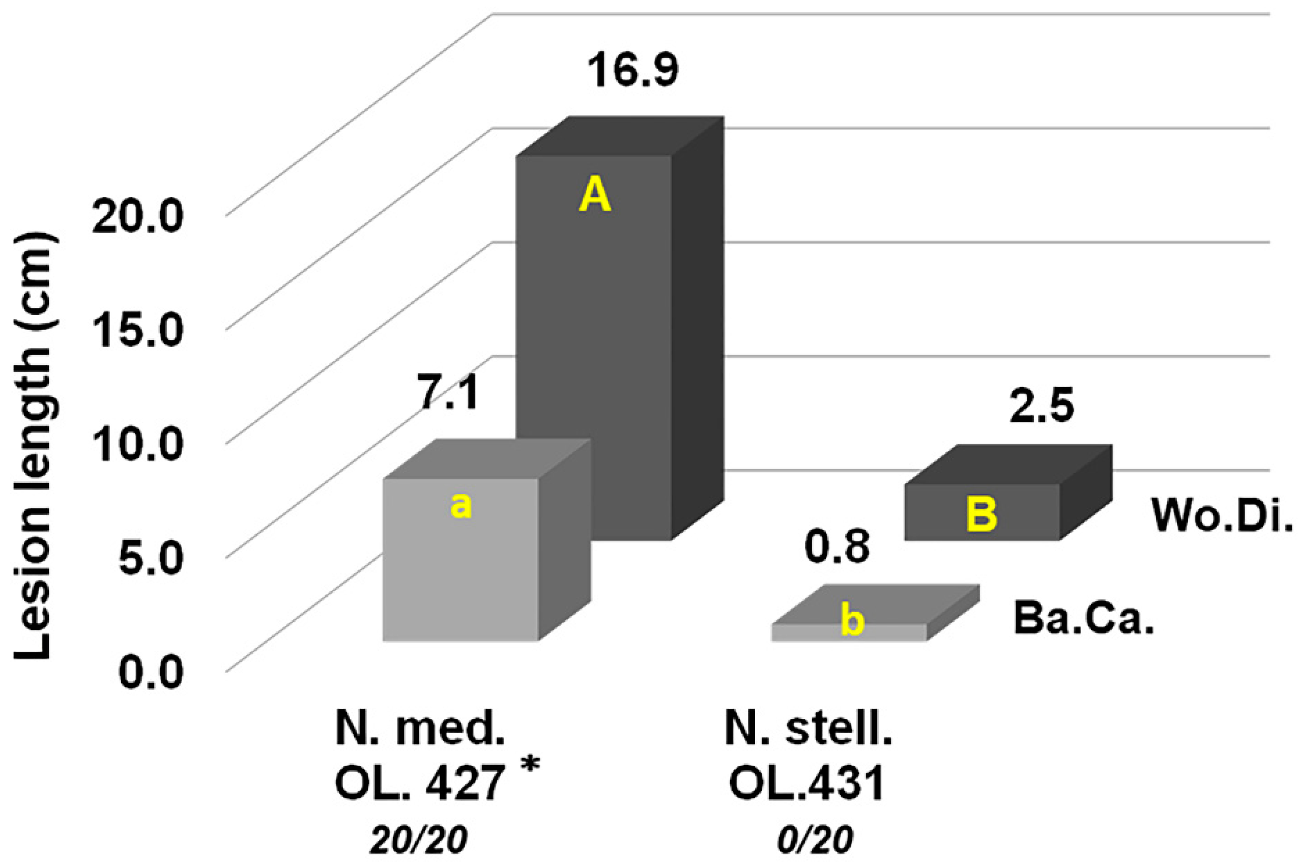 Jof 09 00292 g015 Jof 09 00292 g015