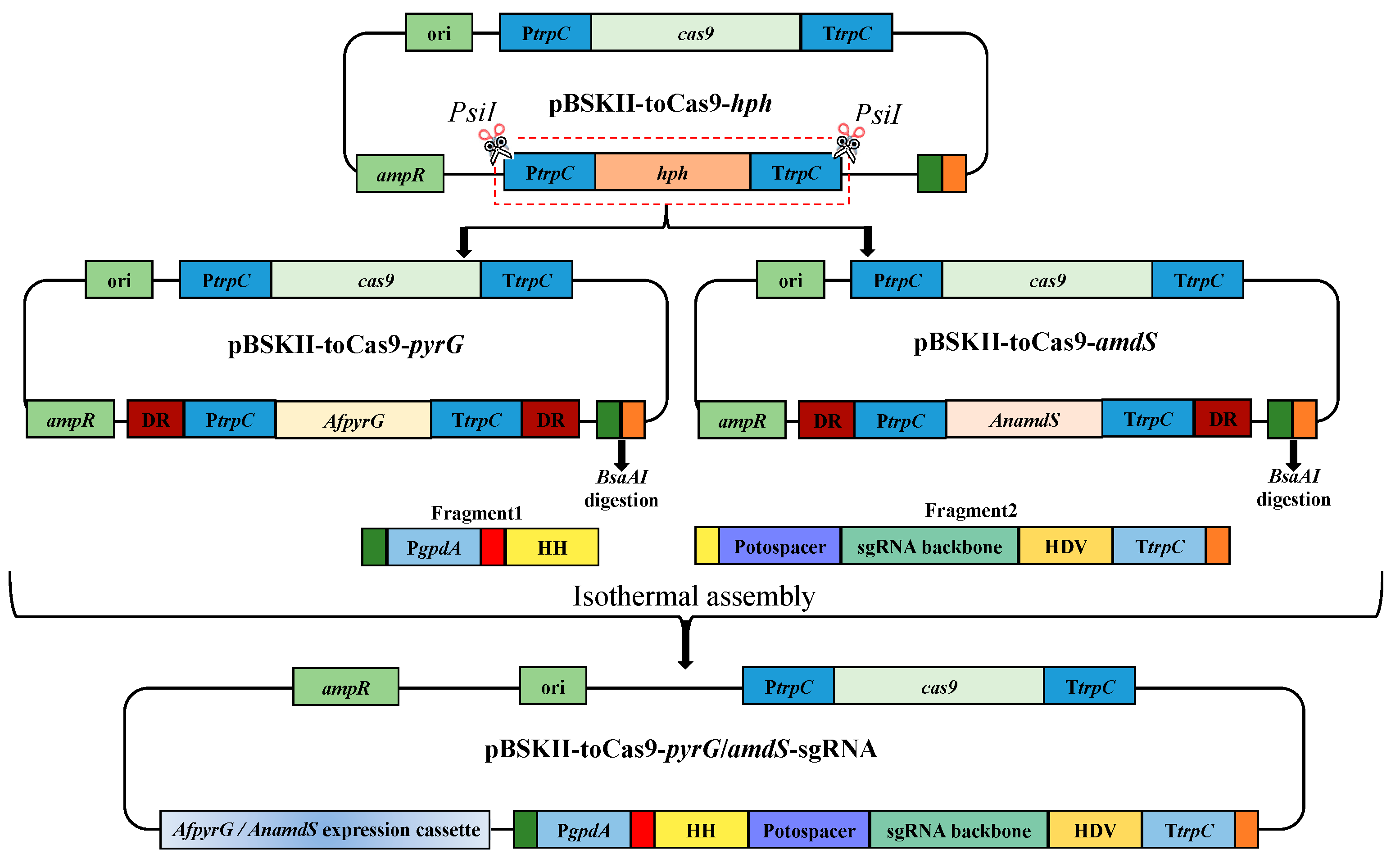 Jof 09 00302 g001 Jof 09 00302 g001