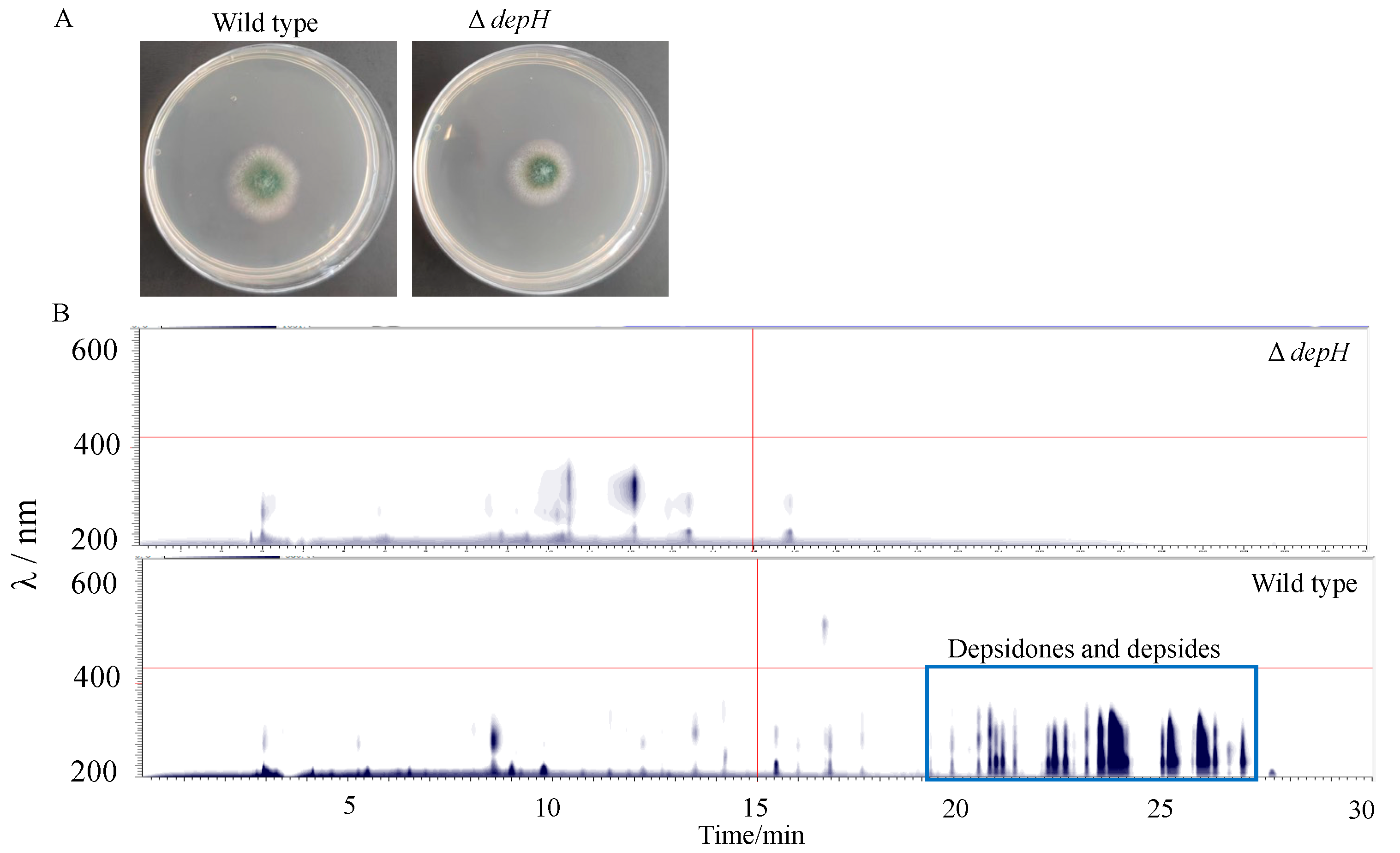 Jof 09 00302 g003 Jof 09 00302 g003