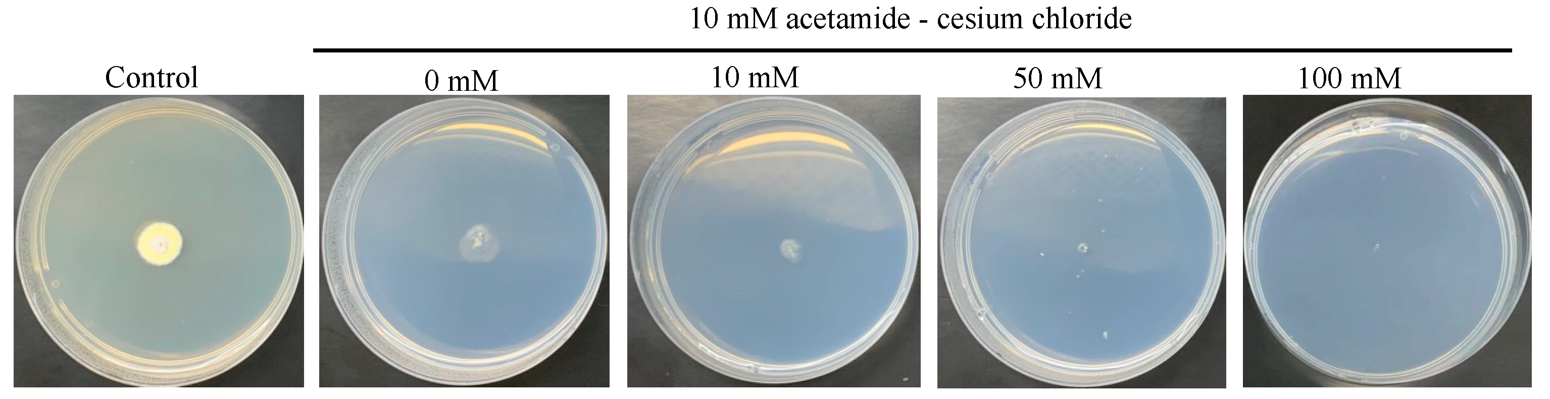 Jof 09 00302 g005 Jof 09 00302 g005