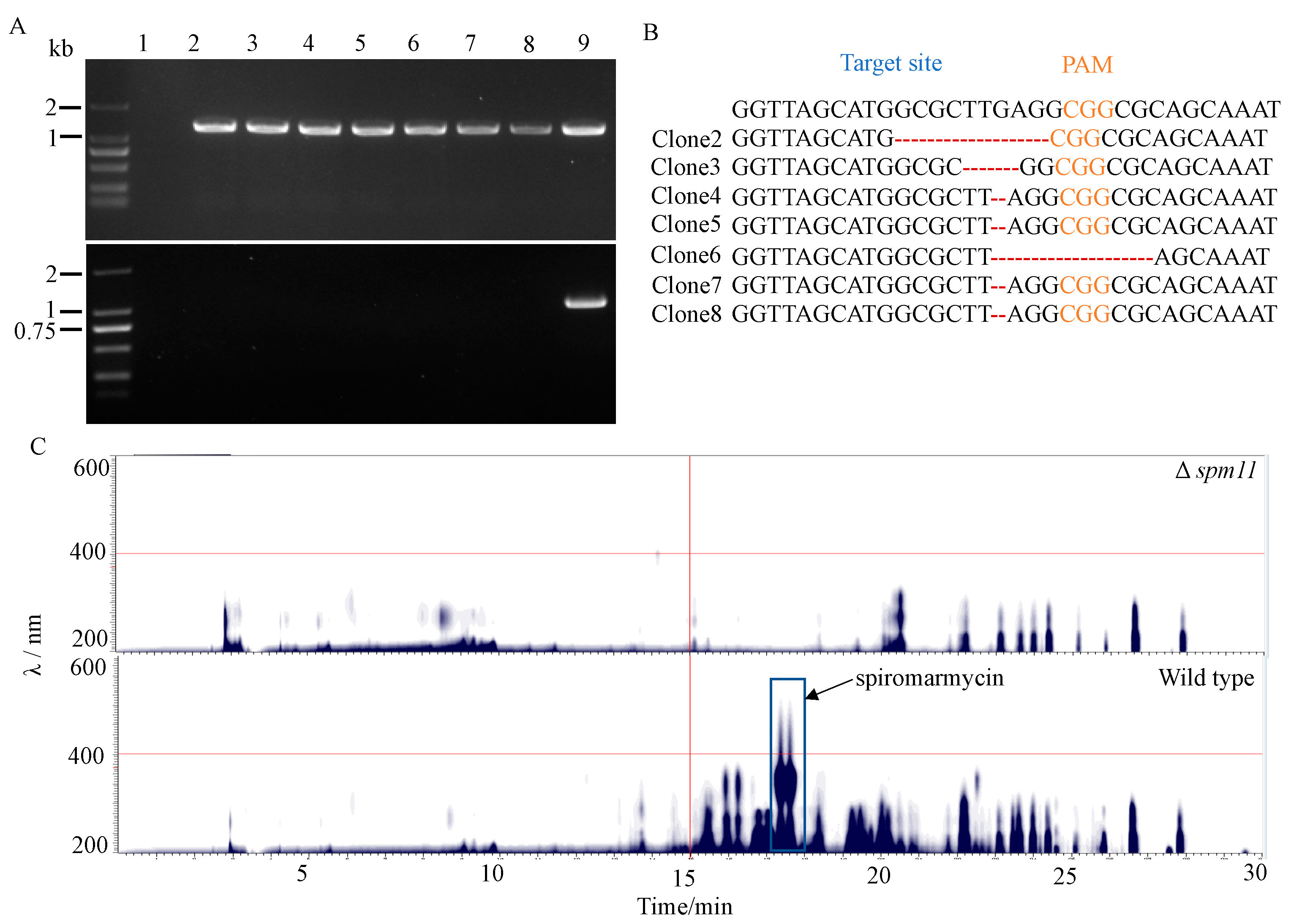 Jof 09 00302 g006 Jof 09 00302 g006