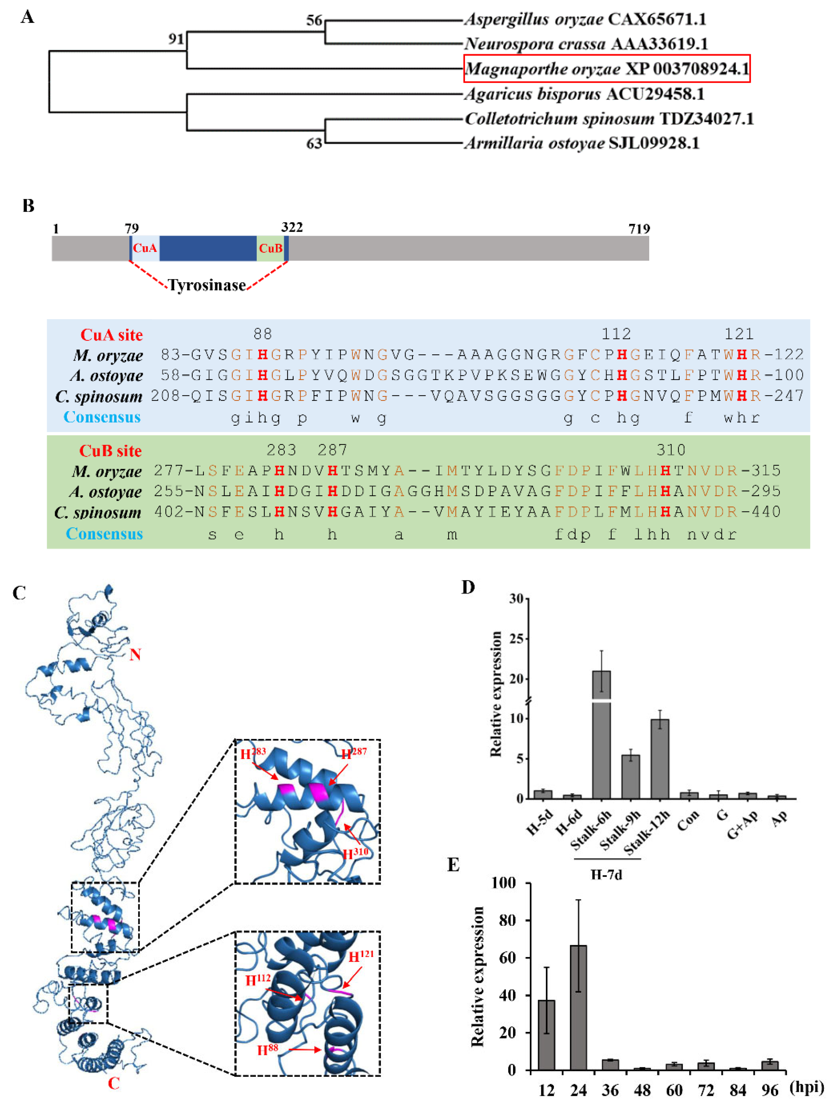 Jof 09 00311 g001 Jof 09 00311 g001