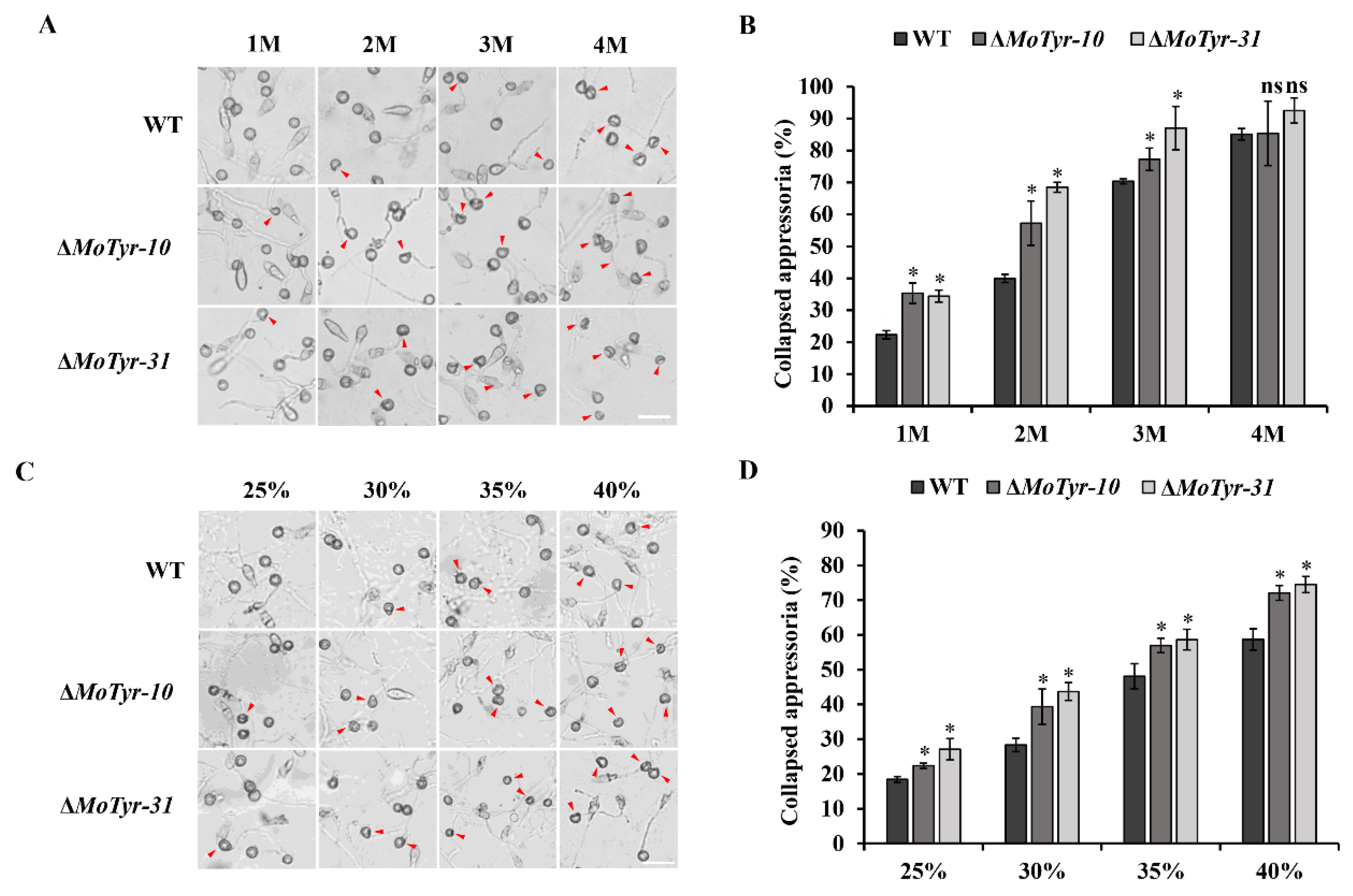 Jof 09 00311 g003 Jof 09 00311 g003