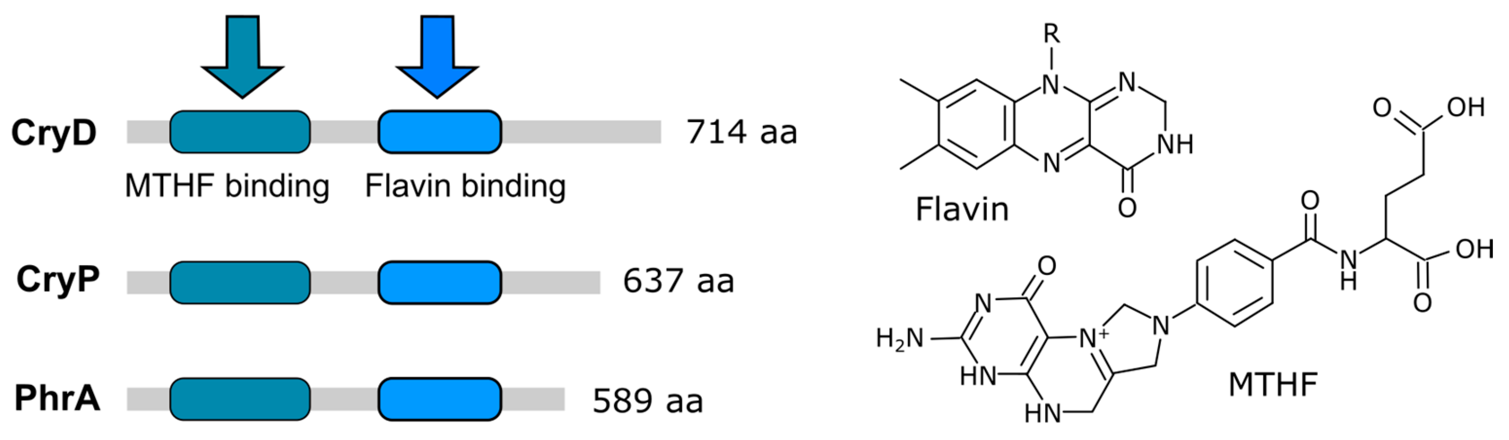 Jof 09 00319 g004 Jof 09 00319 g004