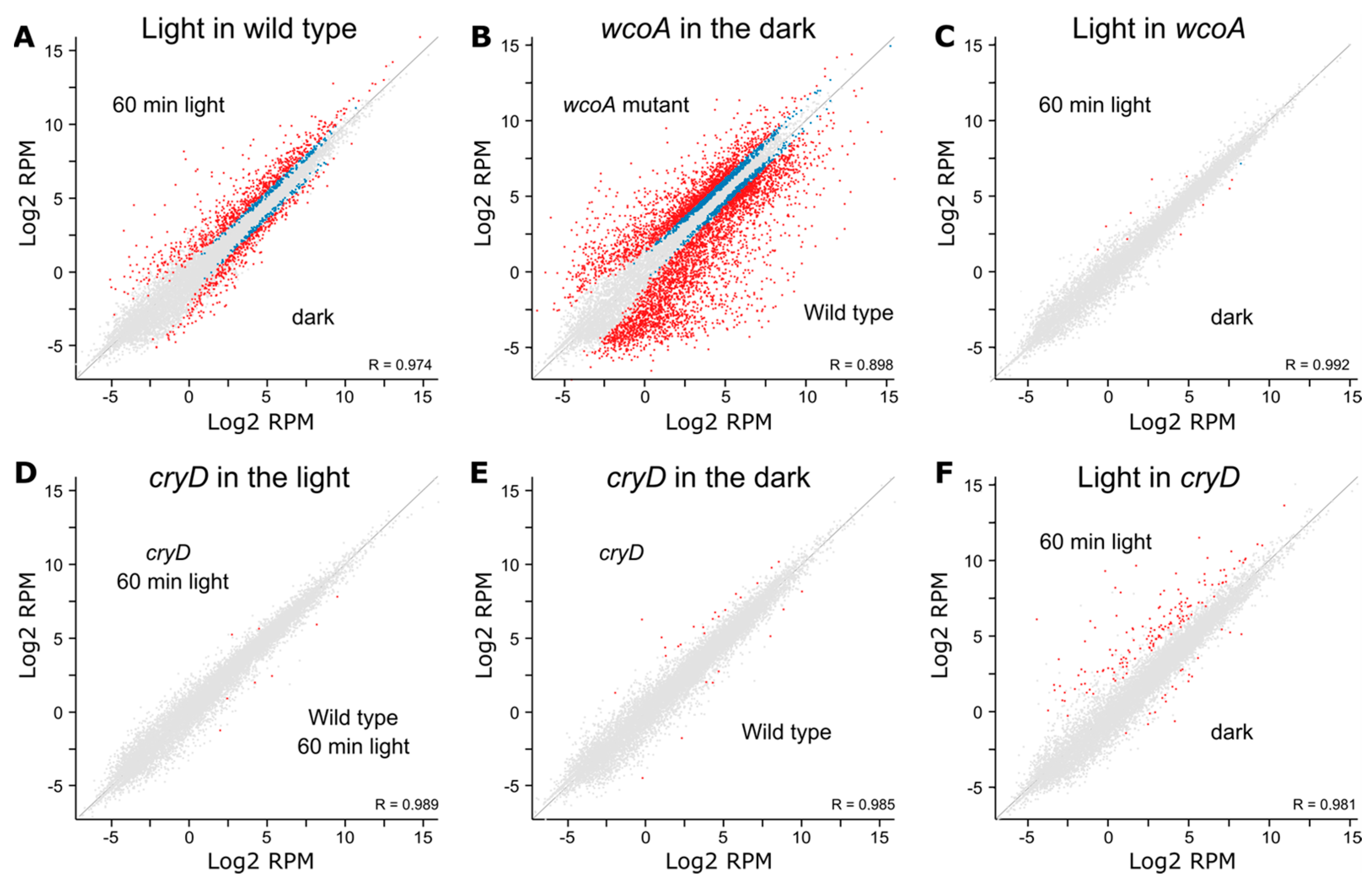Jof 09 00319 g009 Jof 09 00319 g009