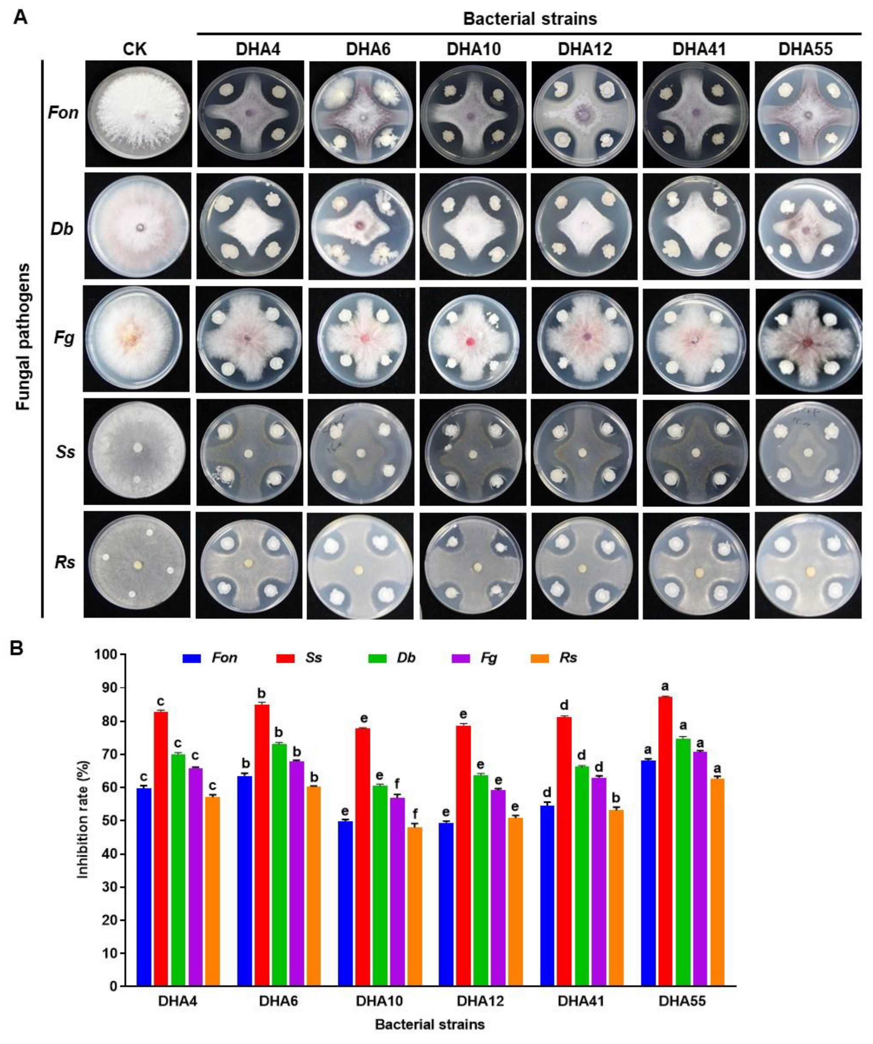 Jof 09 00336 g001 Jof 09 00336 g001
