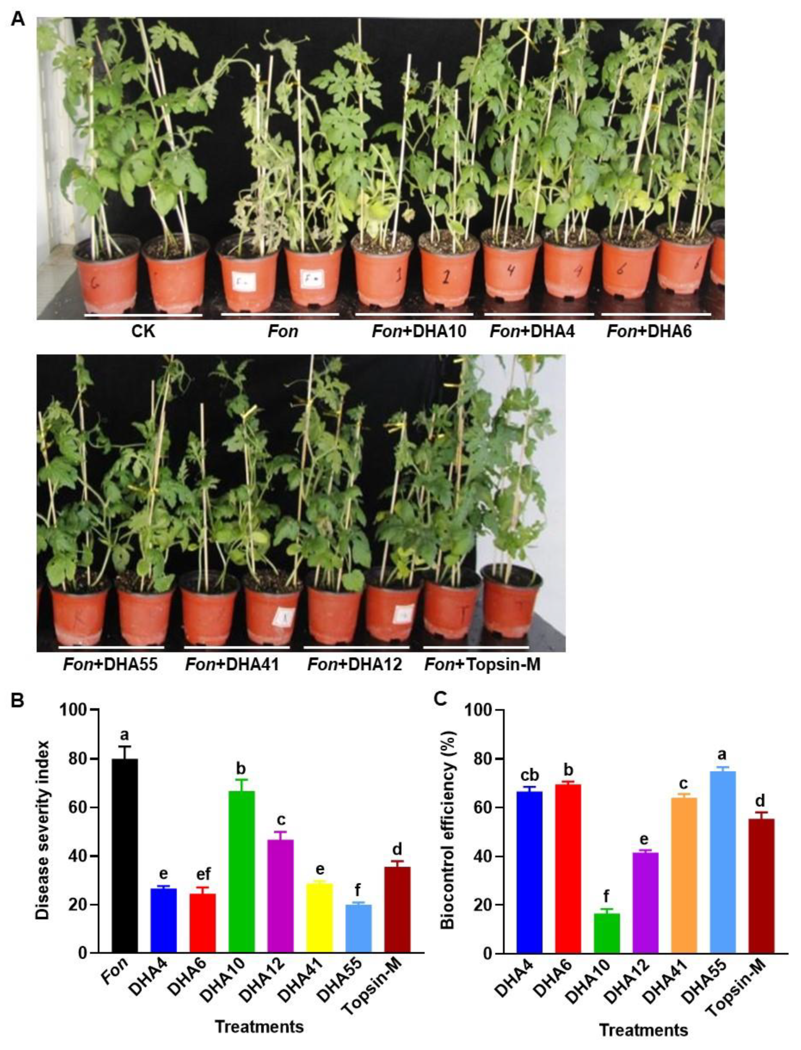 Jof 09 00336 g005 Jof 09 00336 g005