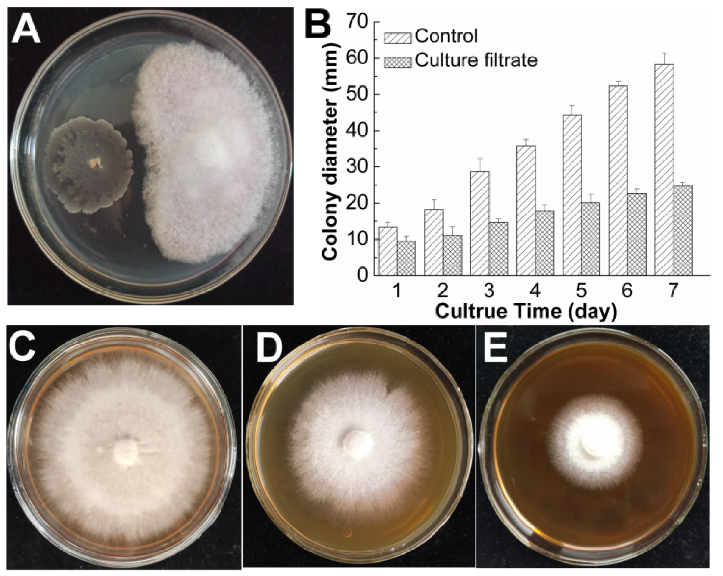 Jof 09 00367 g002 Jof 09 00367 g002