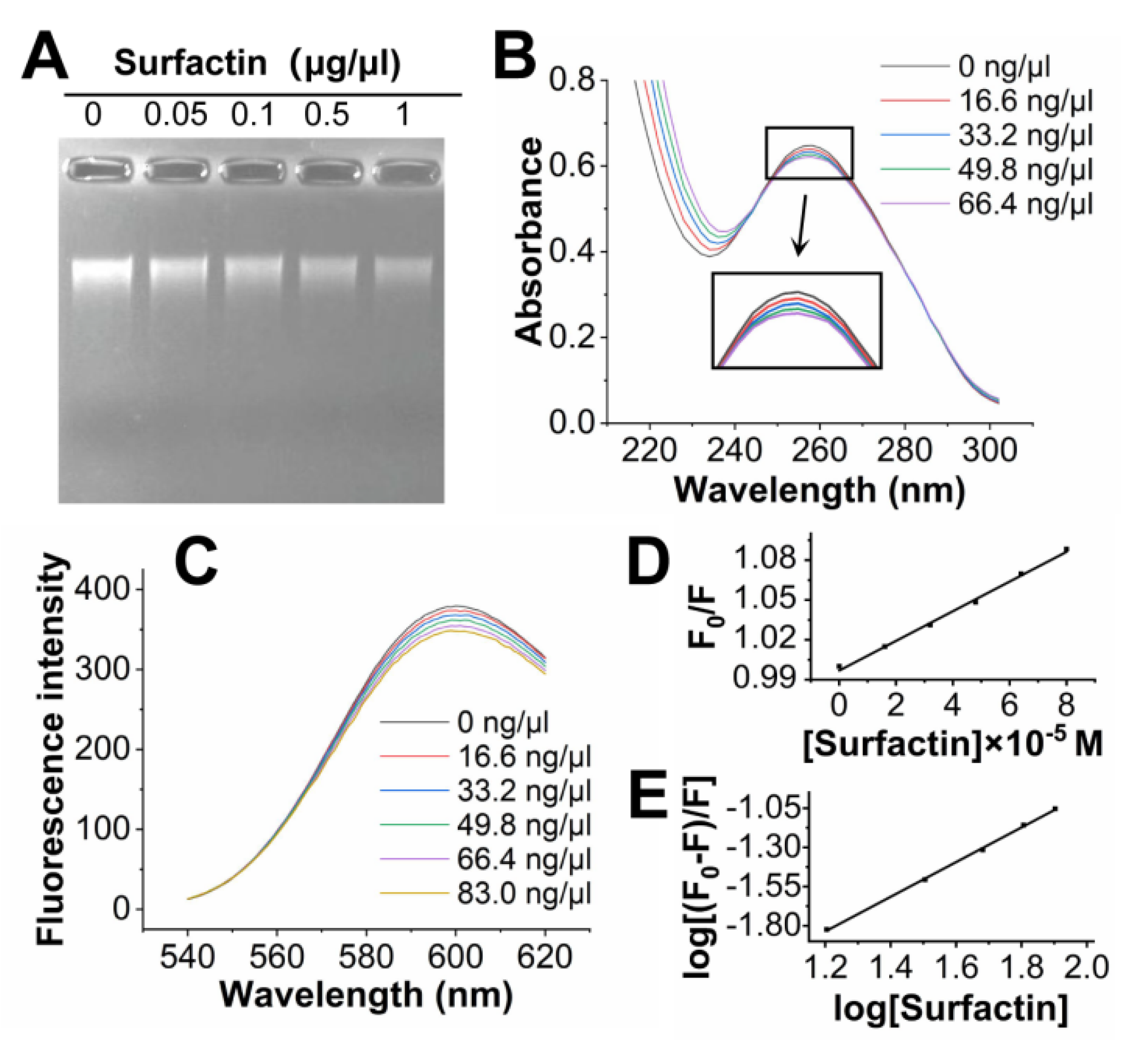 Jof 09 00367 g007 Jof 09 00367 g007