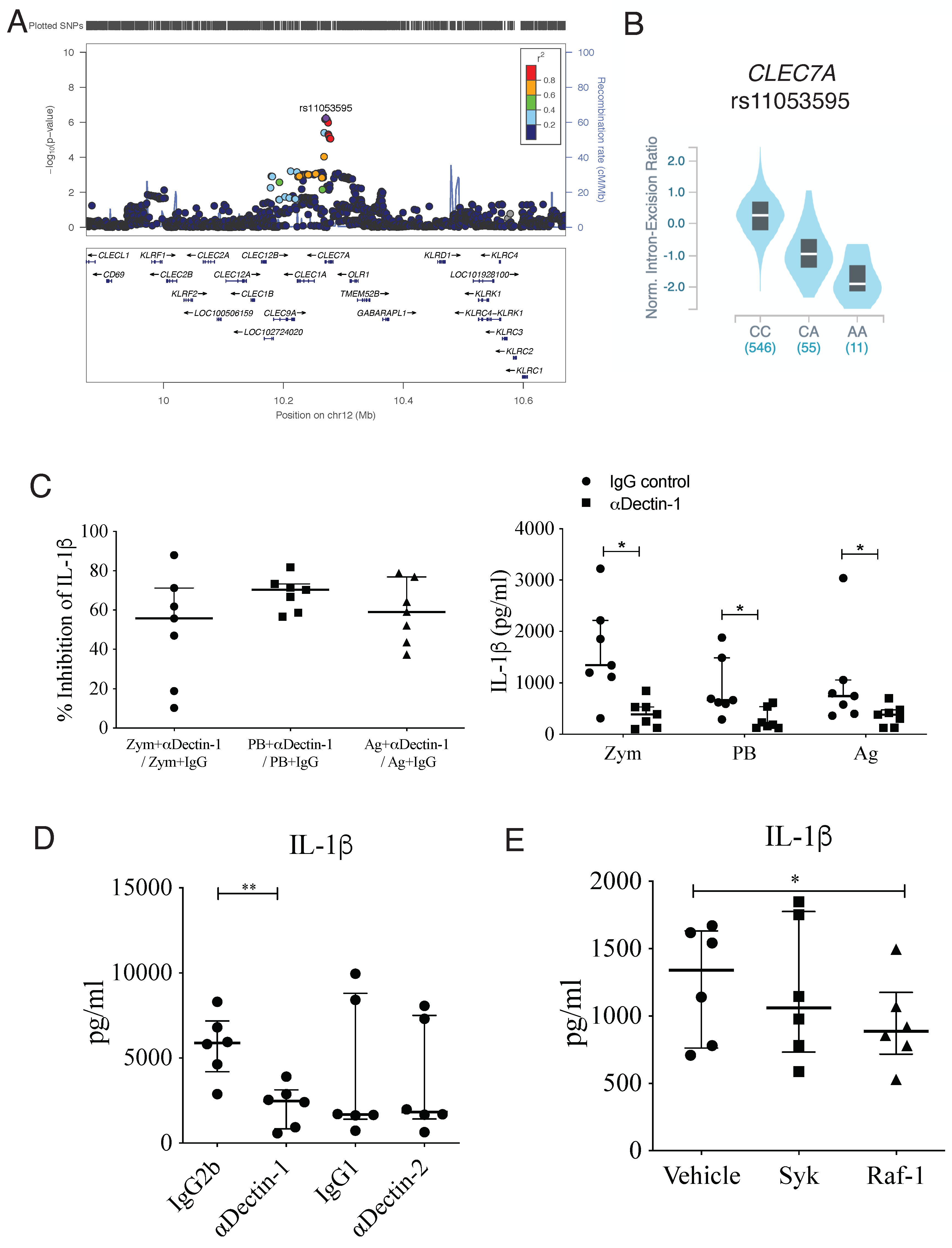 Jof 09 00428 g003 Jof 09 00428 g003