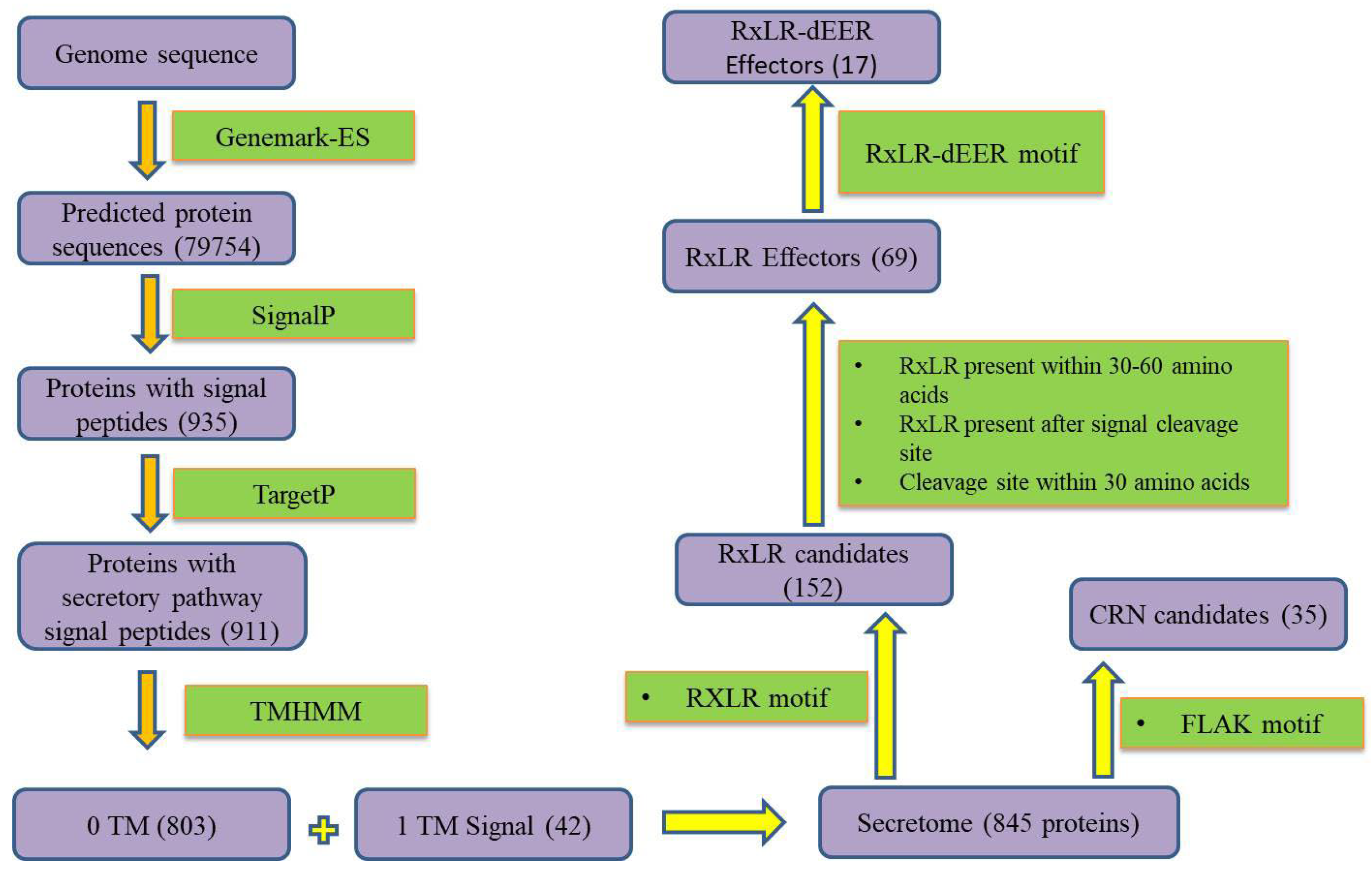 Jof 09 00431 g001 Jof 09 00431 g001