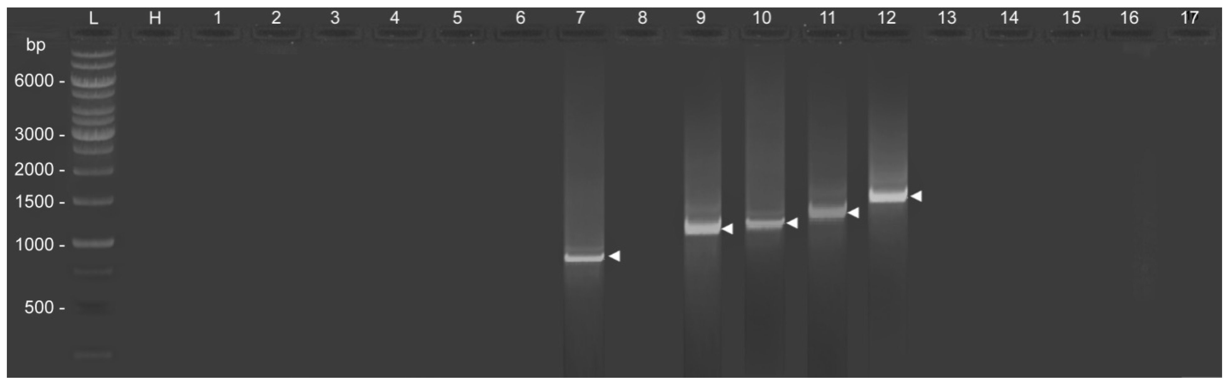 Jof 09 00431 g002 Jof 09 00431 g002