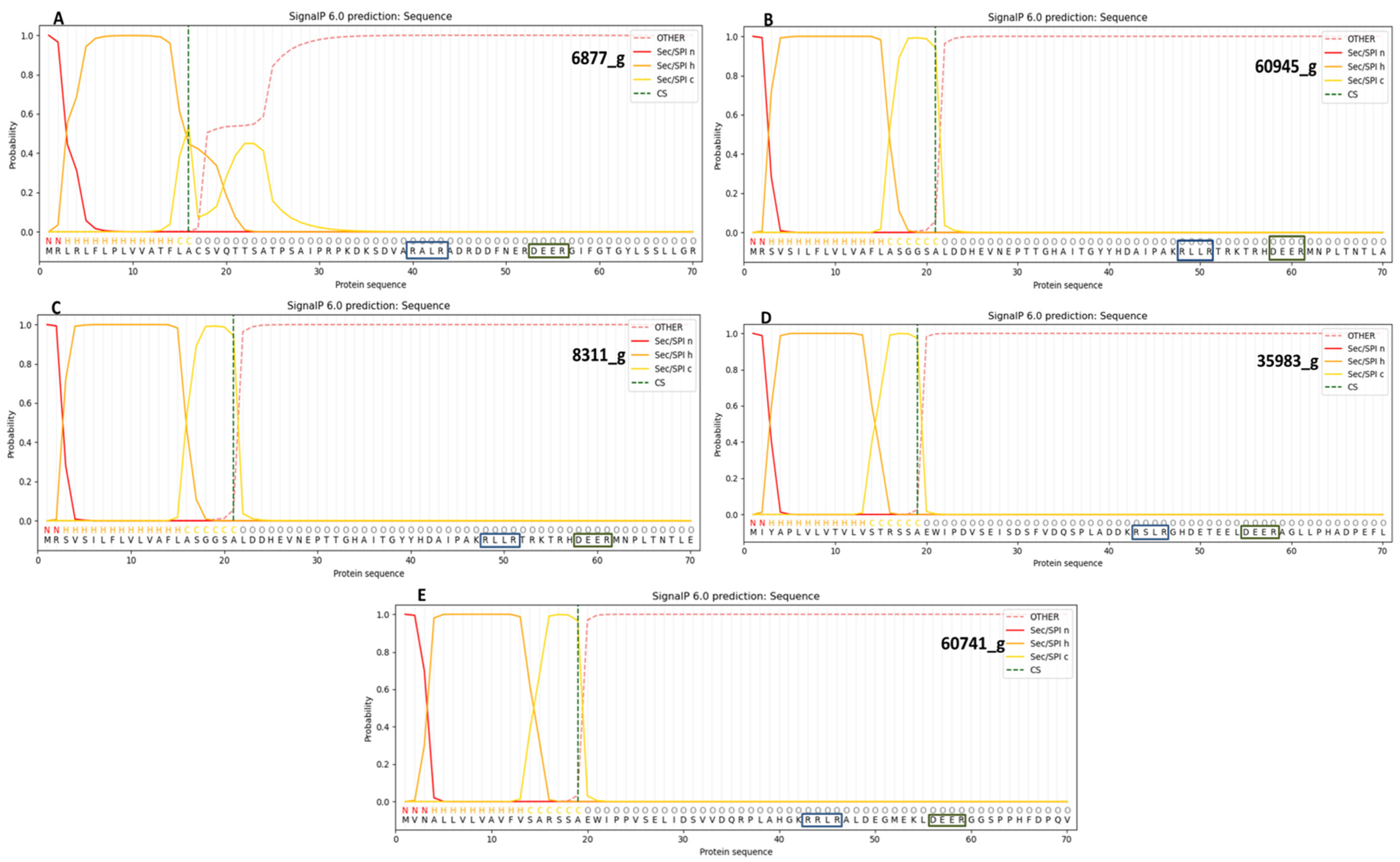 Jof 09 00431 g004 Jof 09 00431 g004