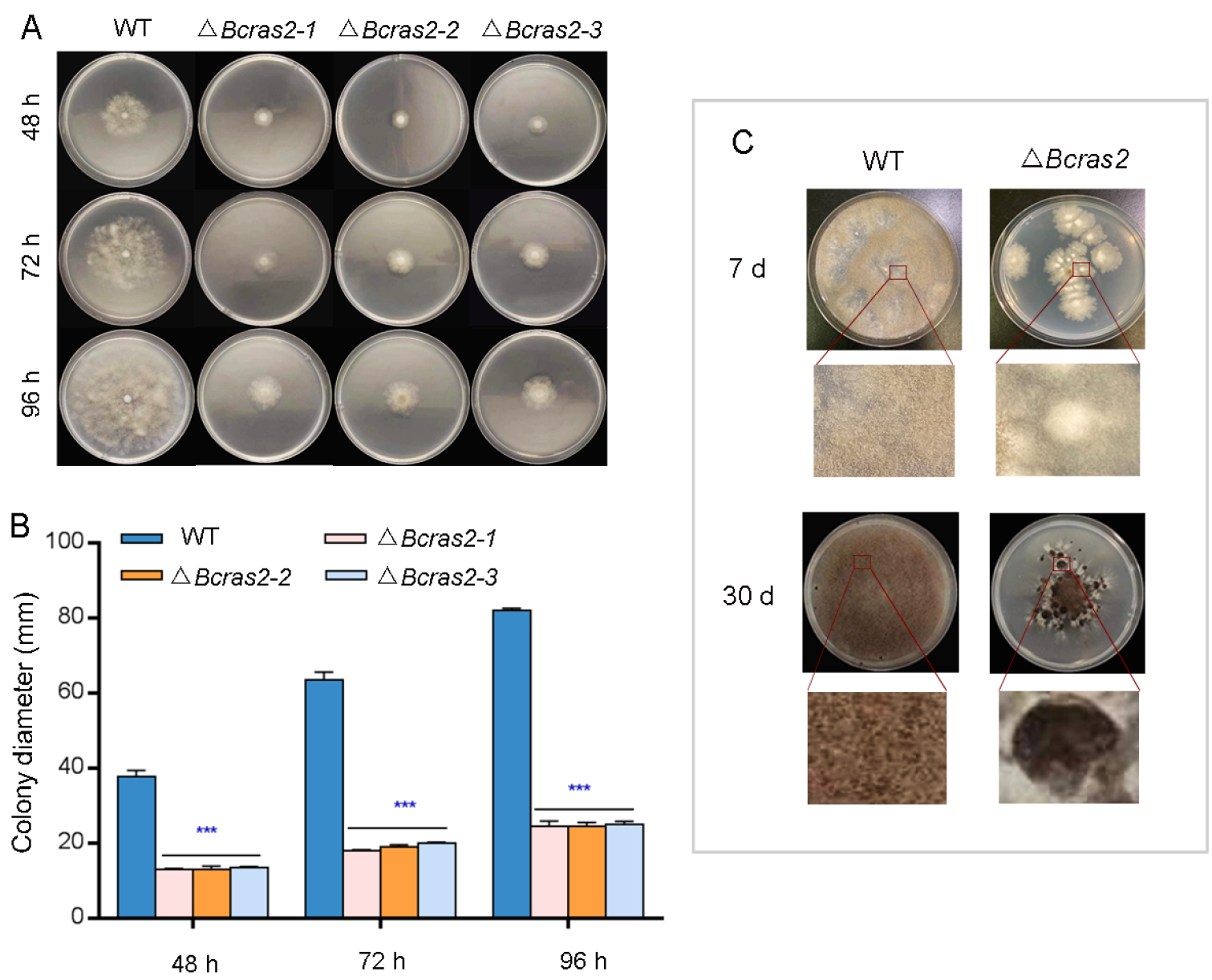 Jof 09 00432 g002 Jof 09 00432 g002