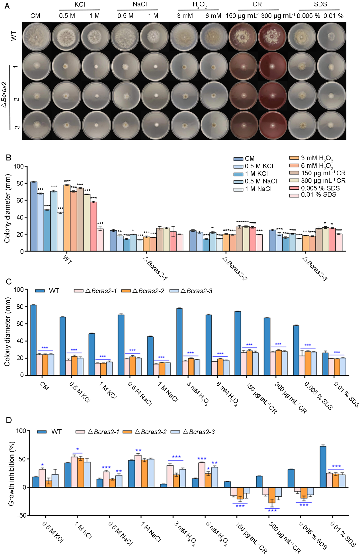 Jof 09 00432 g003 Jof 09 00432 g003