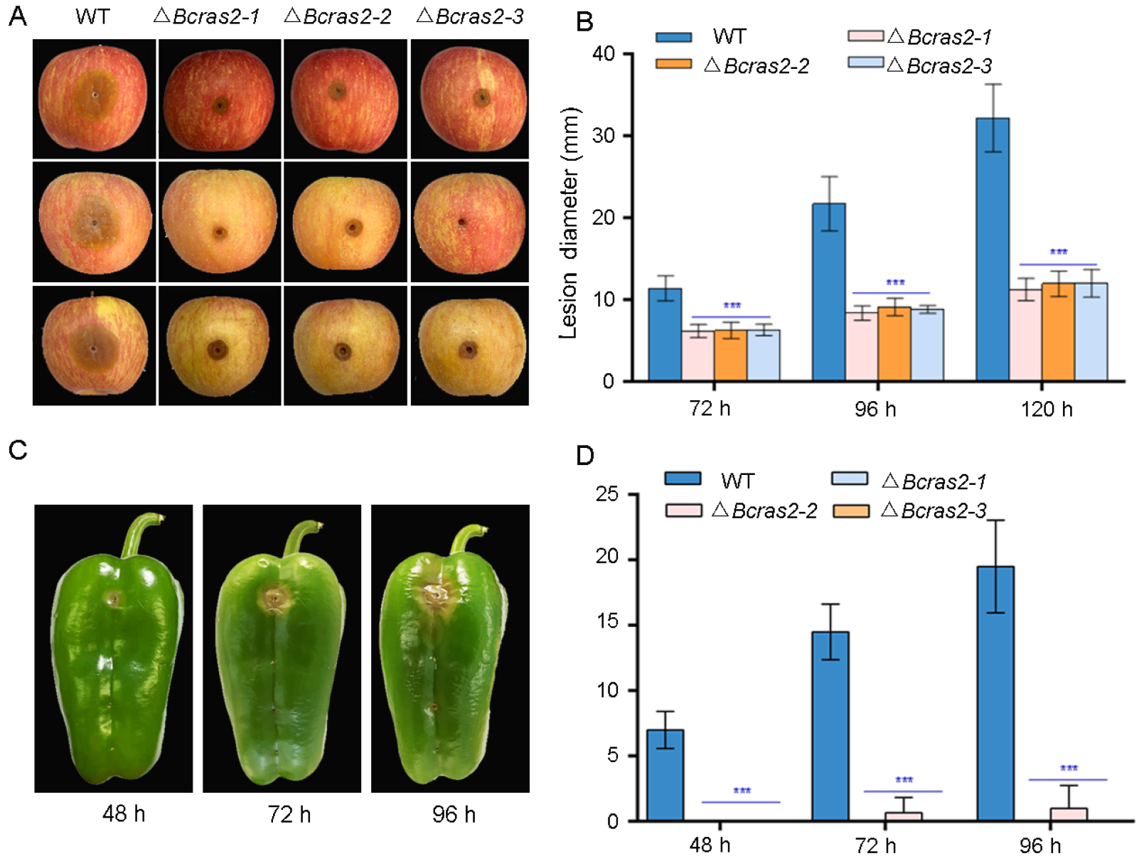 Jof 09 00432 g004 Jof 09 00432 g004