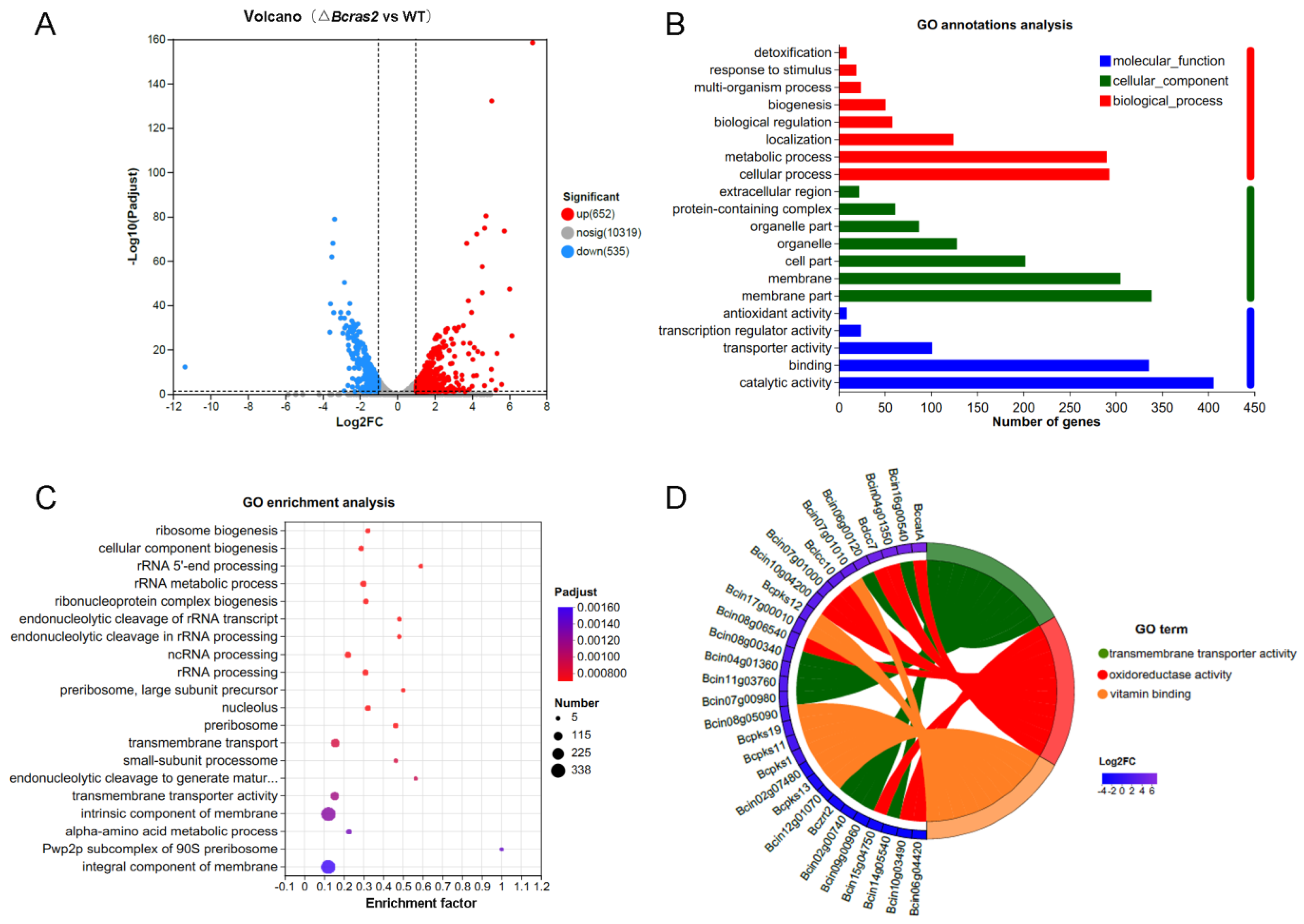 Jof 09 00432 g005 Jof 09 00432 g005