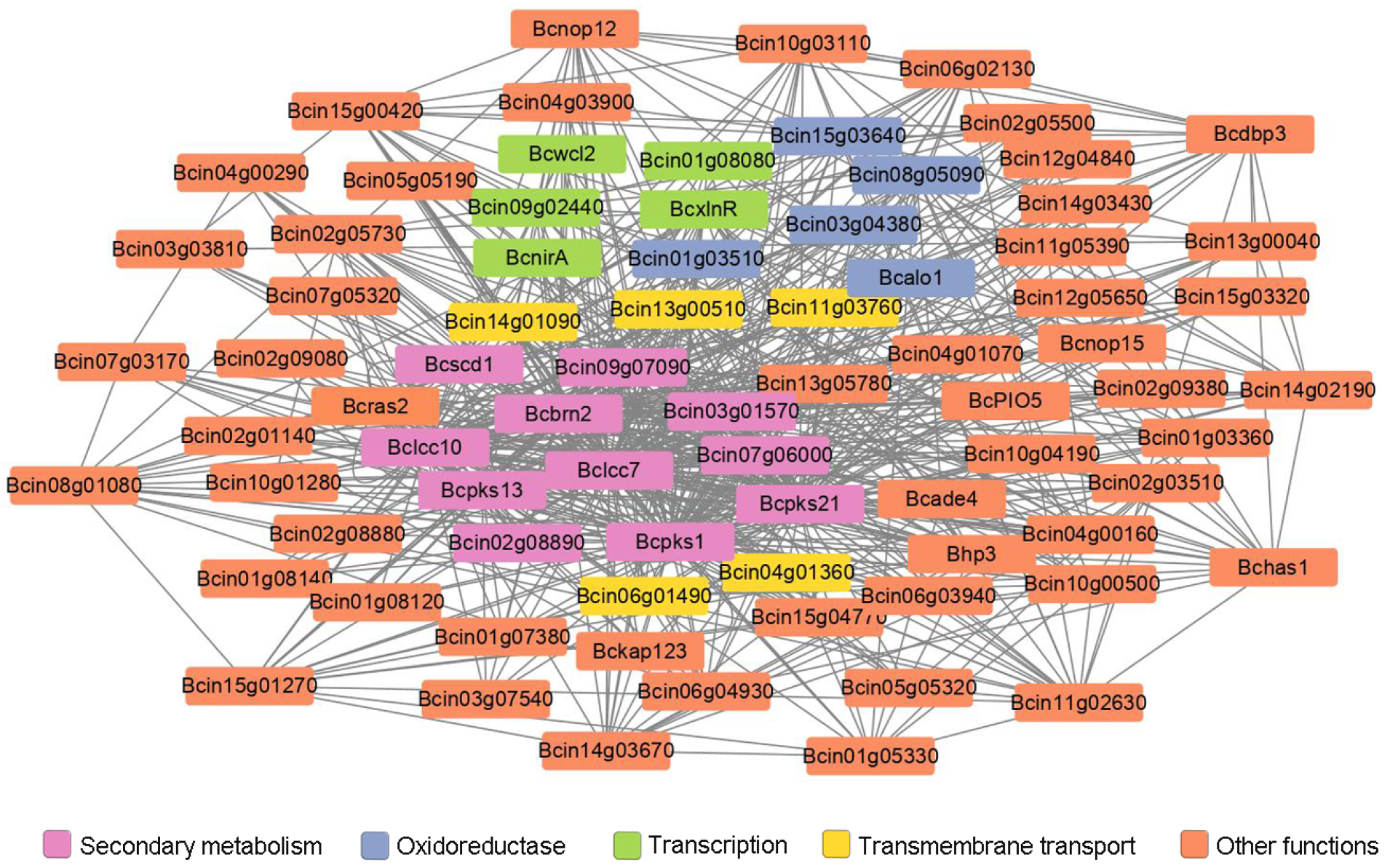Jof 09 00432 g006 Jof 09 00432 g006