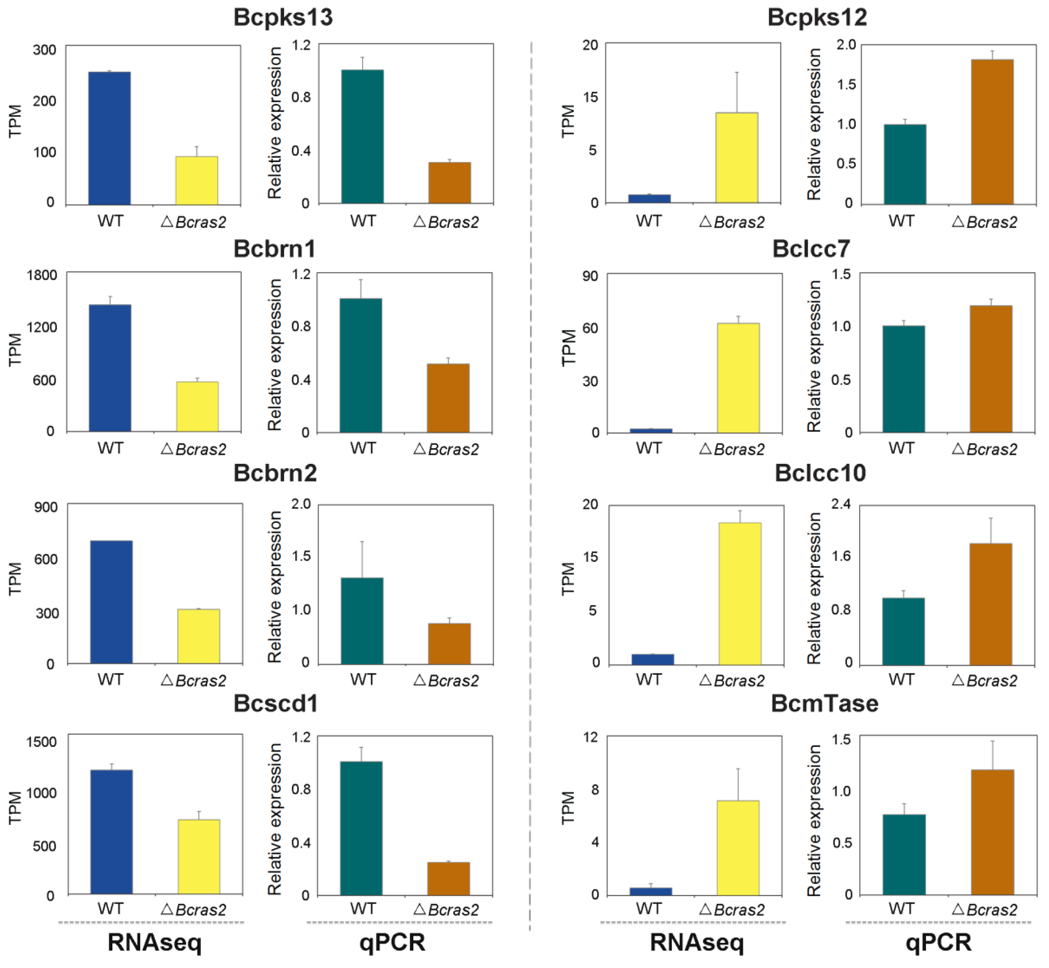 Jof 09 00432 g007 Jof 09 00432 g007