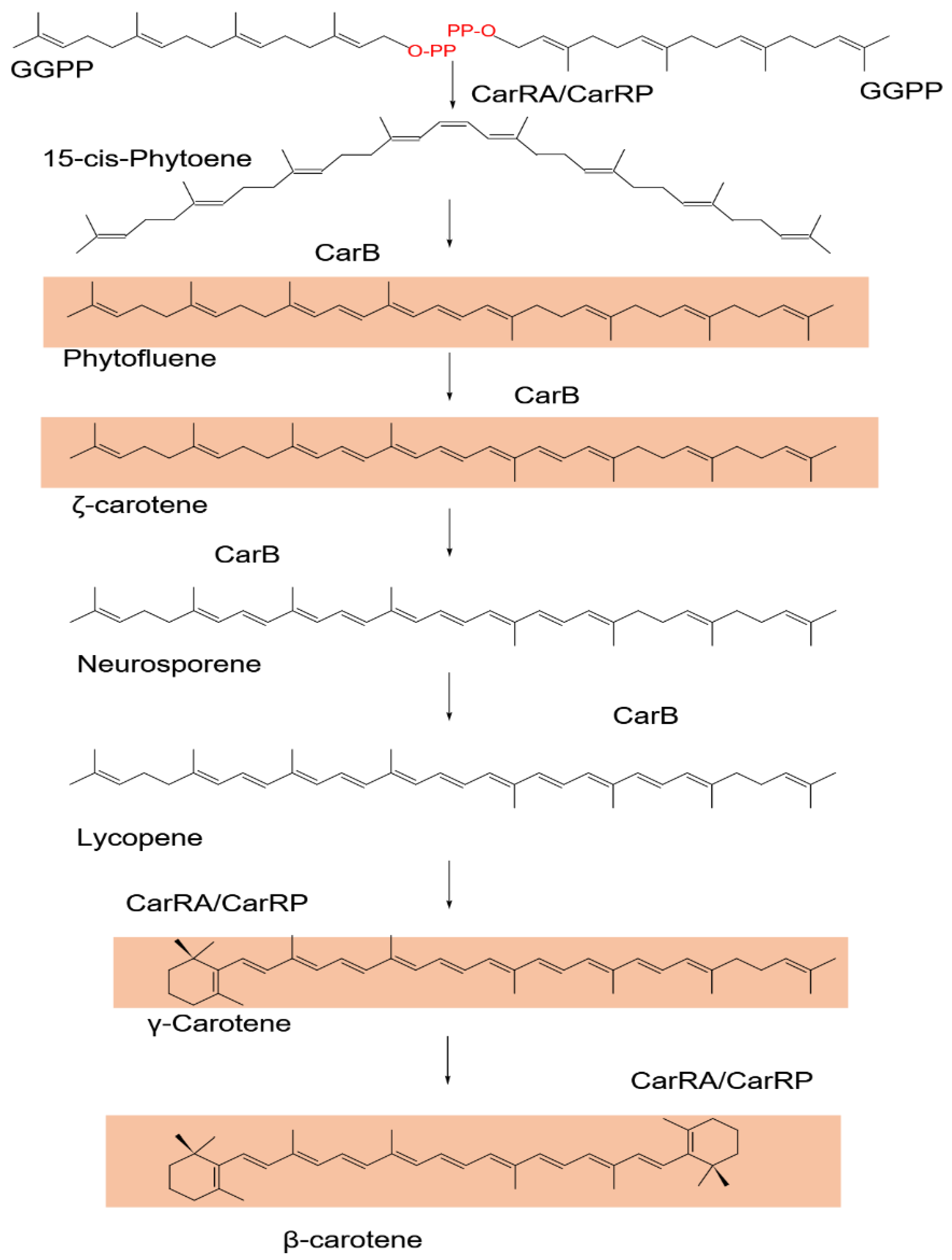 Jof 09 00454 g002 Jof 09 00454 g002