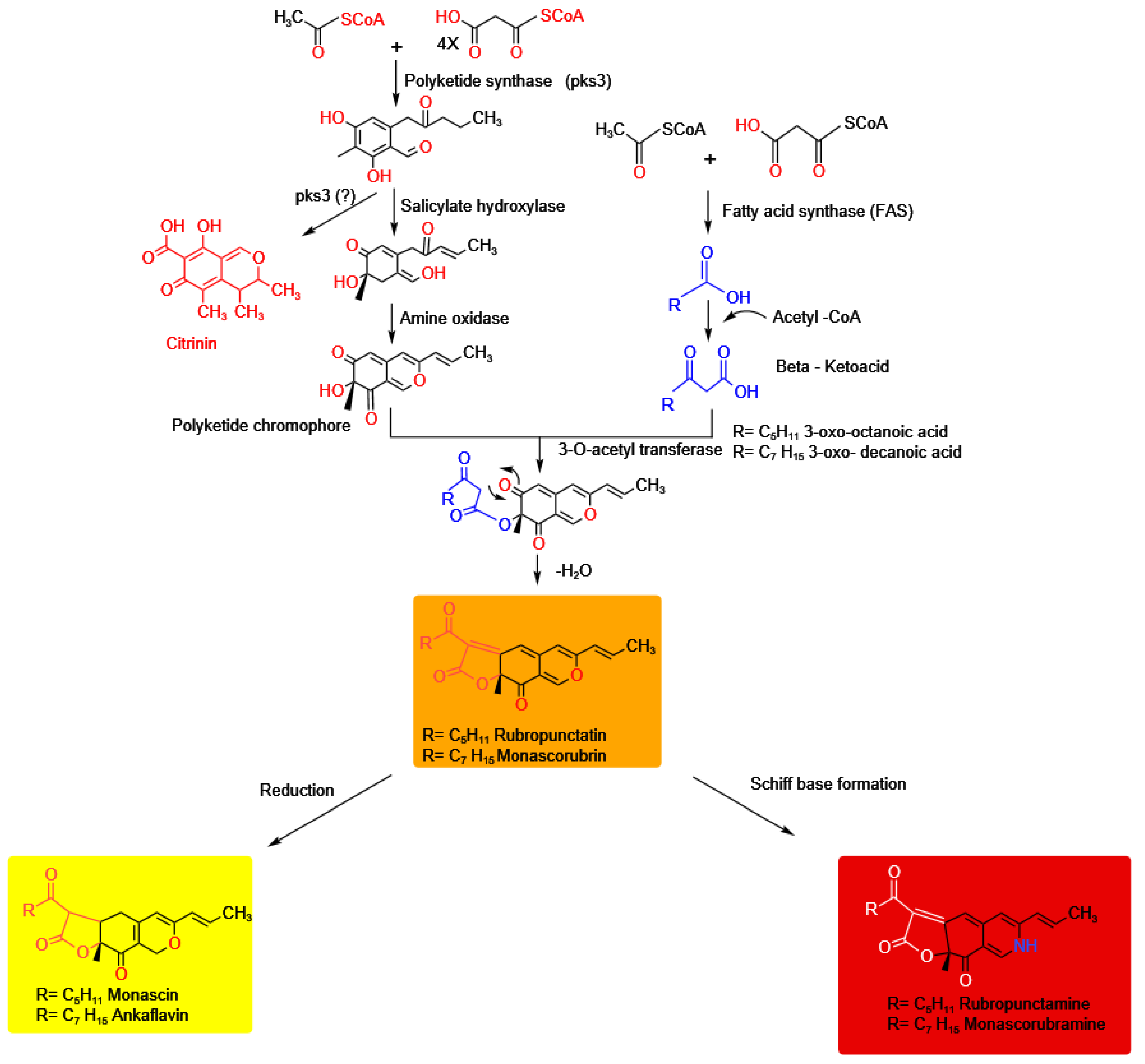 Jof 09 00454 g003 Jof 09 00454 g003