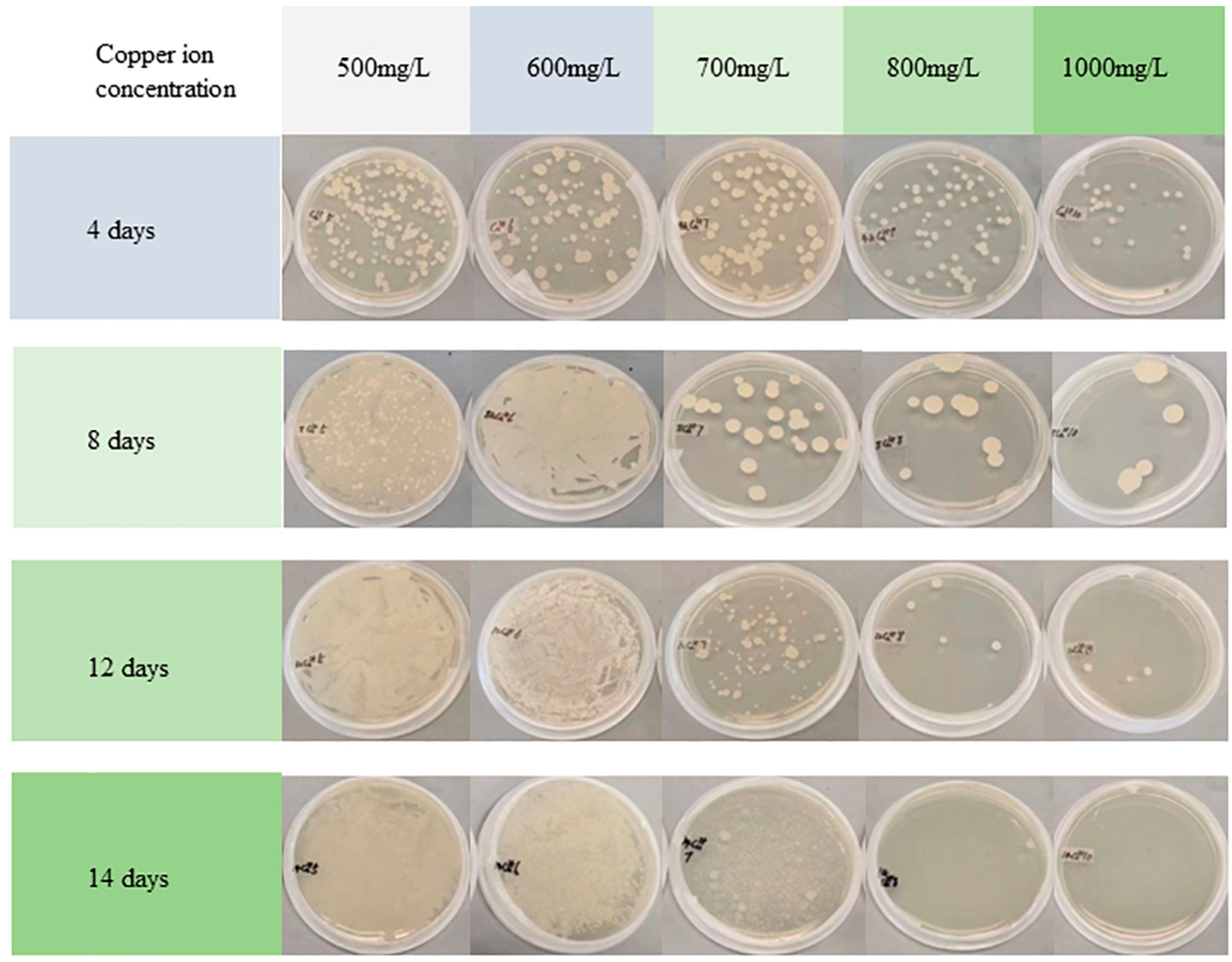 Jof 09 00469 g003 Jof 09 00469 g003